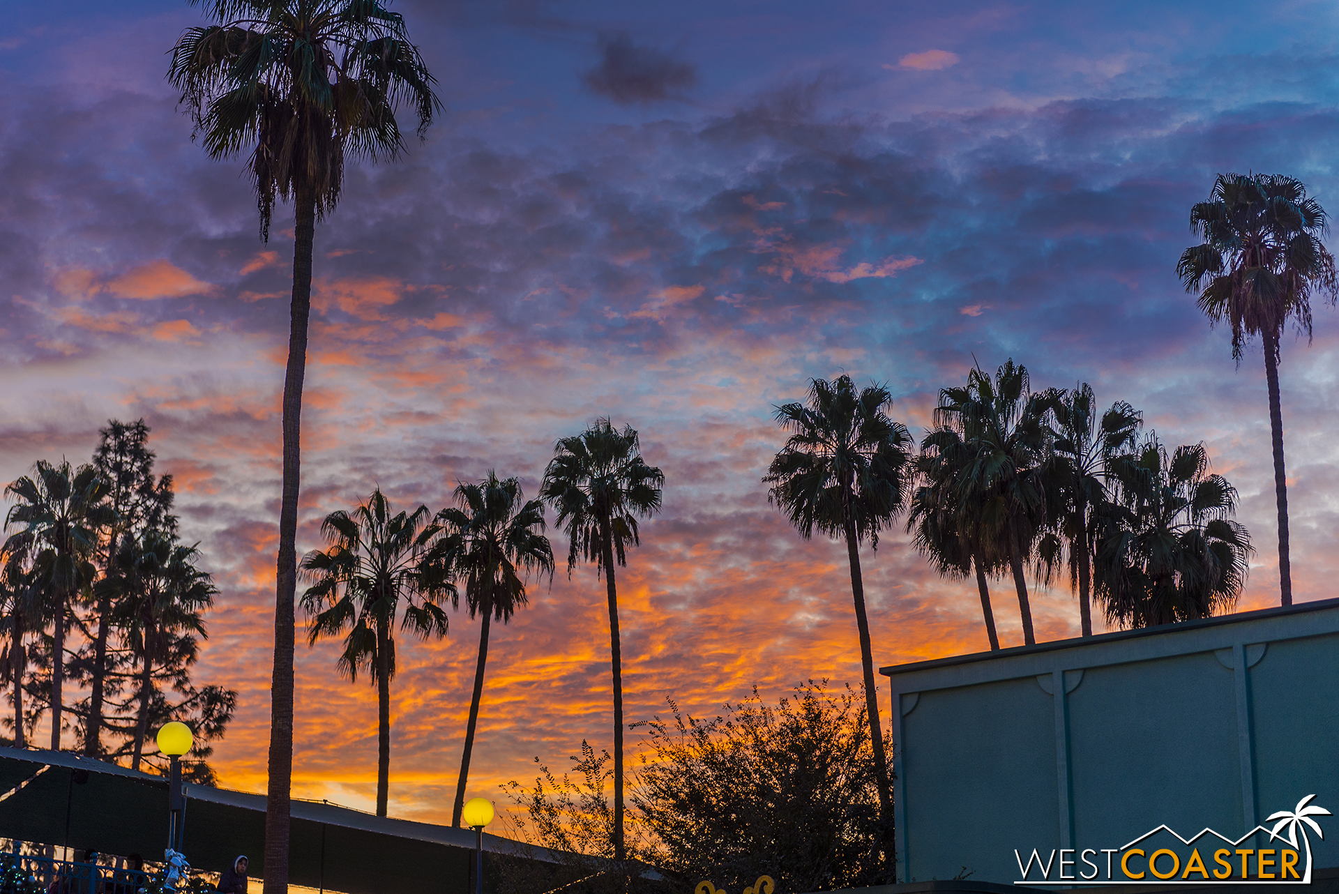 You don't get much more Southern California than pretty skies and palm tree silhouettes. 