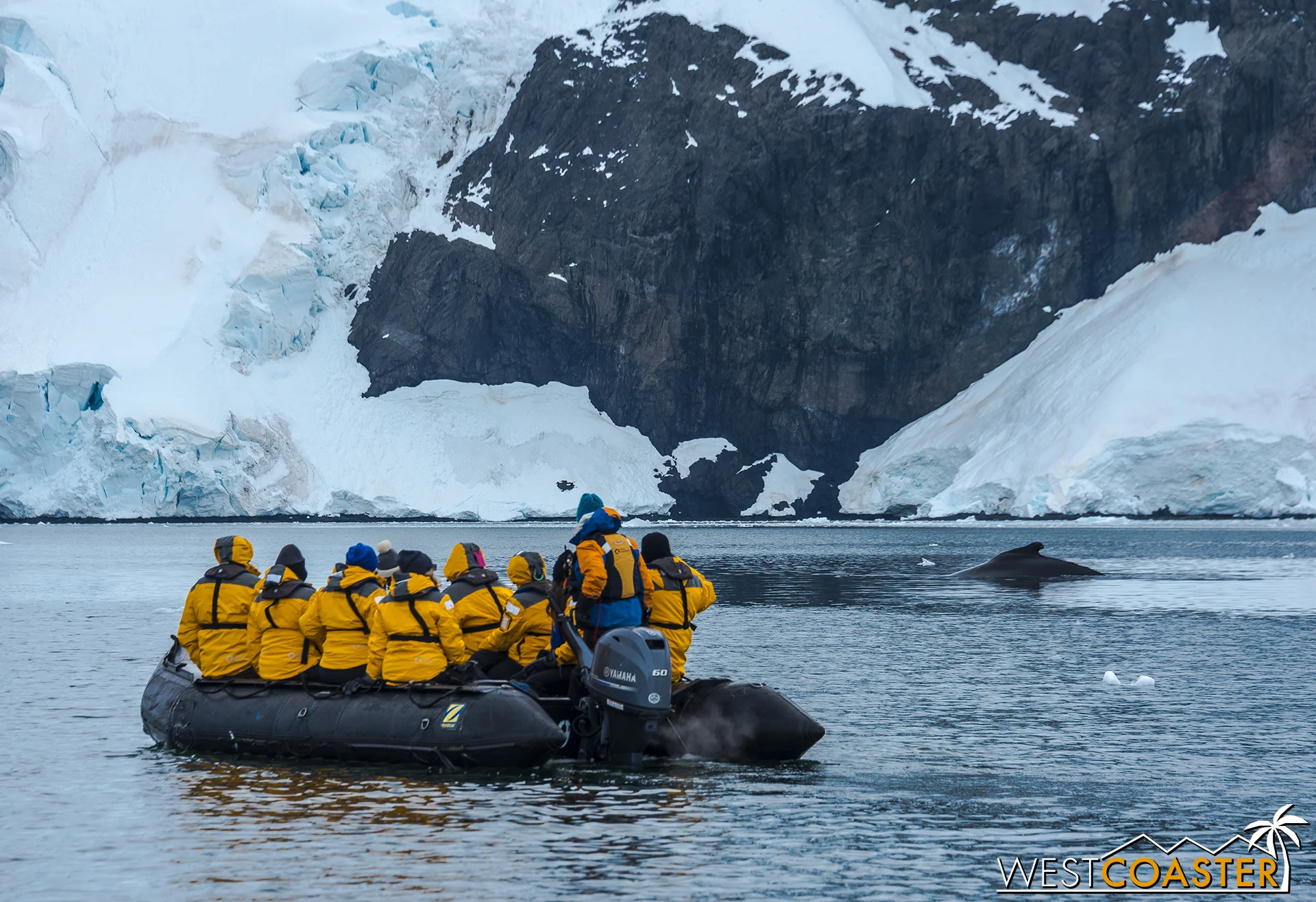 A Zodiac boat gets close to a humpback whale in Neko Harbour, one of many sites we visited in Antarctica.