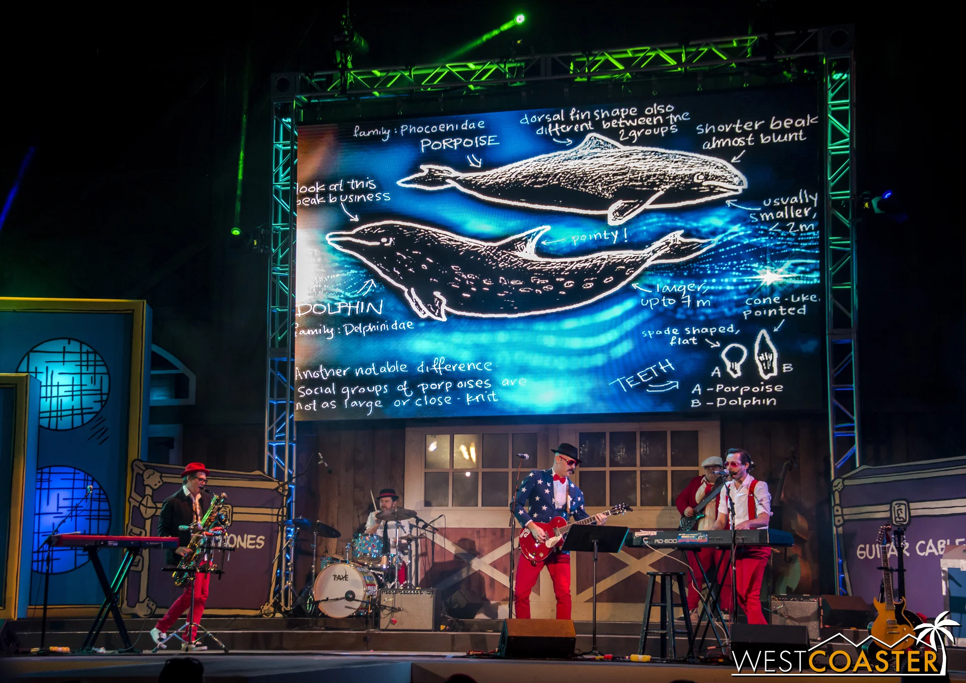  Their songs are fun and often non-sensical, such as this one highlighting the differences between dolphins and porpoises. 