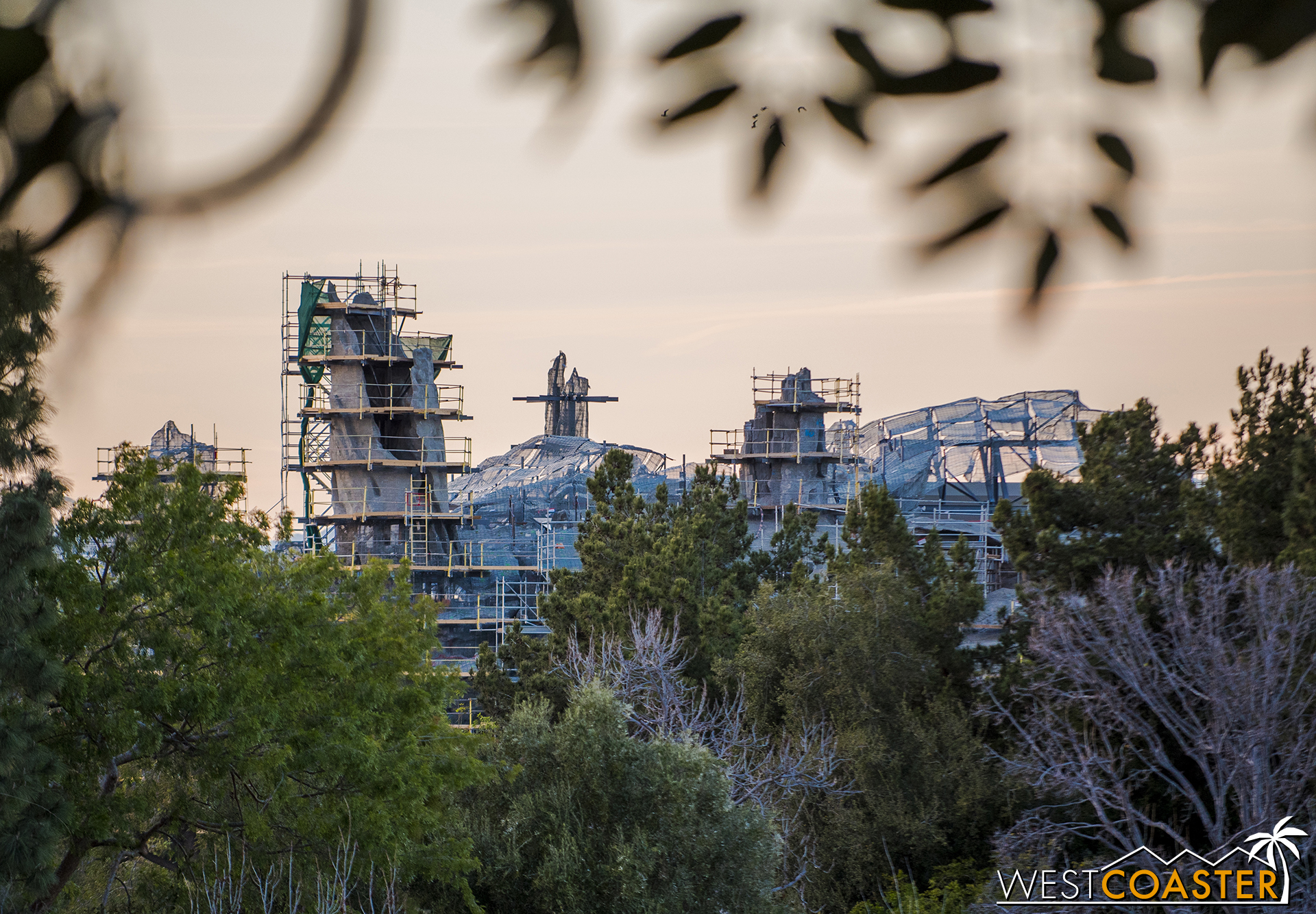  And some more snippets above the trees when looking from Tarzan's Treehouse. 