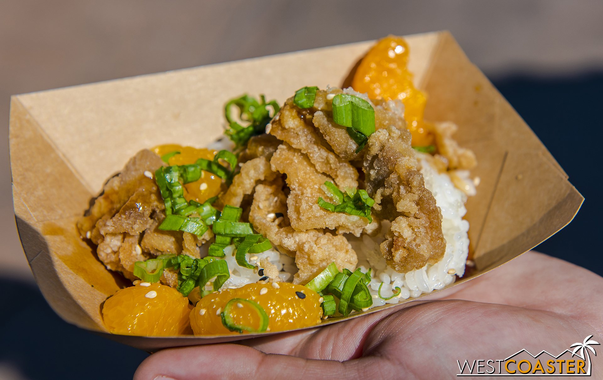  Crispy Orange Chicken and Rice with Garlic Cracker @ Citrus Grove  Unfortunately, this was a bit cool and not as crispy as expected for us.&nbsp; The mandarin orange slices were a fantastic pop of flavor, though! 