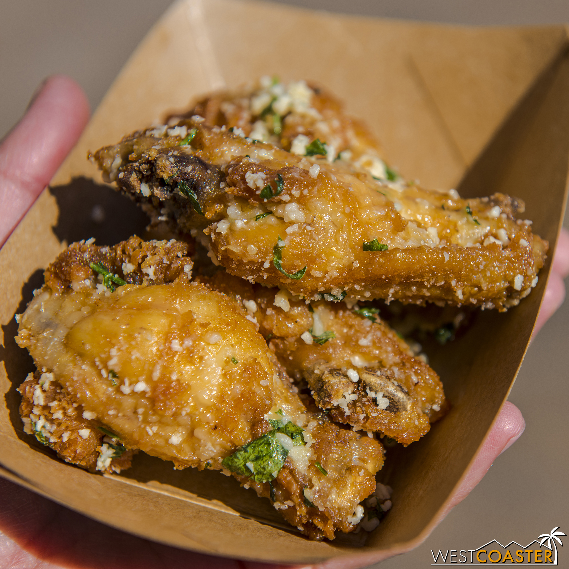  Salt and Beer Vinegar Parmesan Chicken Wings @ Cluck-a-Doodle-Moo  Pretty darn tasty, though compared to the slider, kind of pedestrian.&nbsp; That's not a knock on these wings.&nbsp; The slider was just that flavorful! 