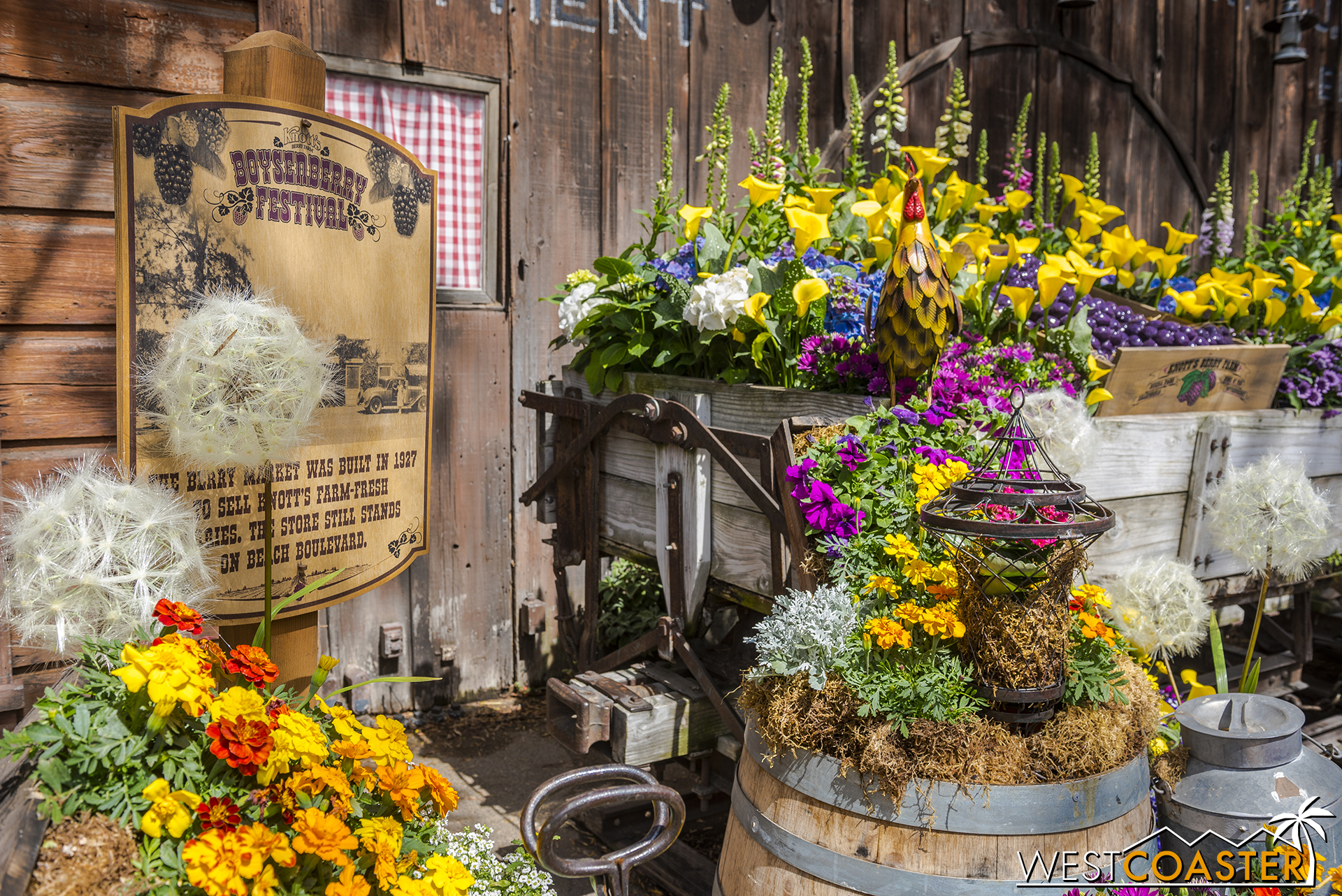  Spring is all over the air at Knott's Boysenberry Festival! 