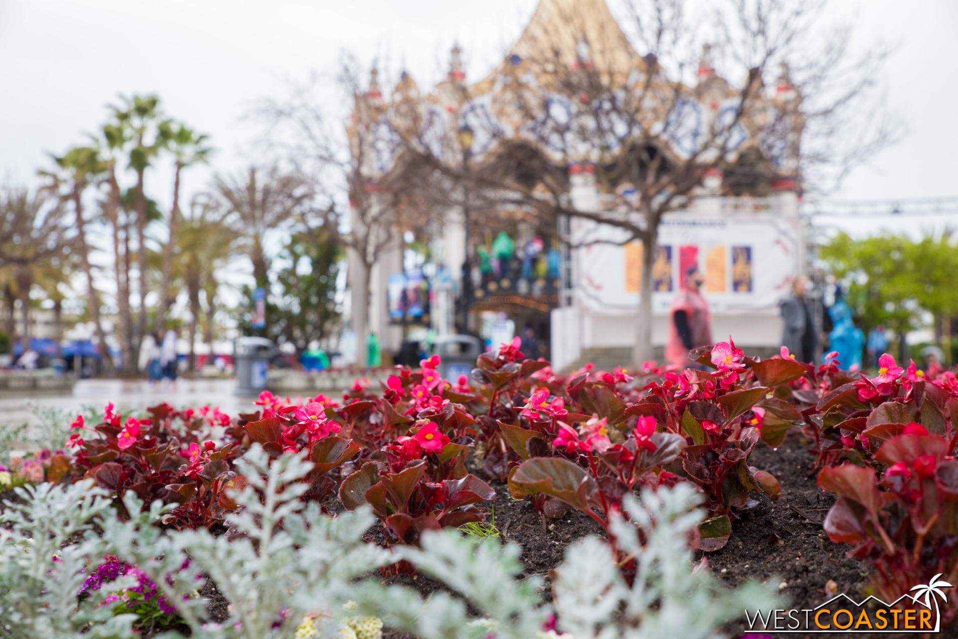 California's Great America-6710.jpg