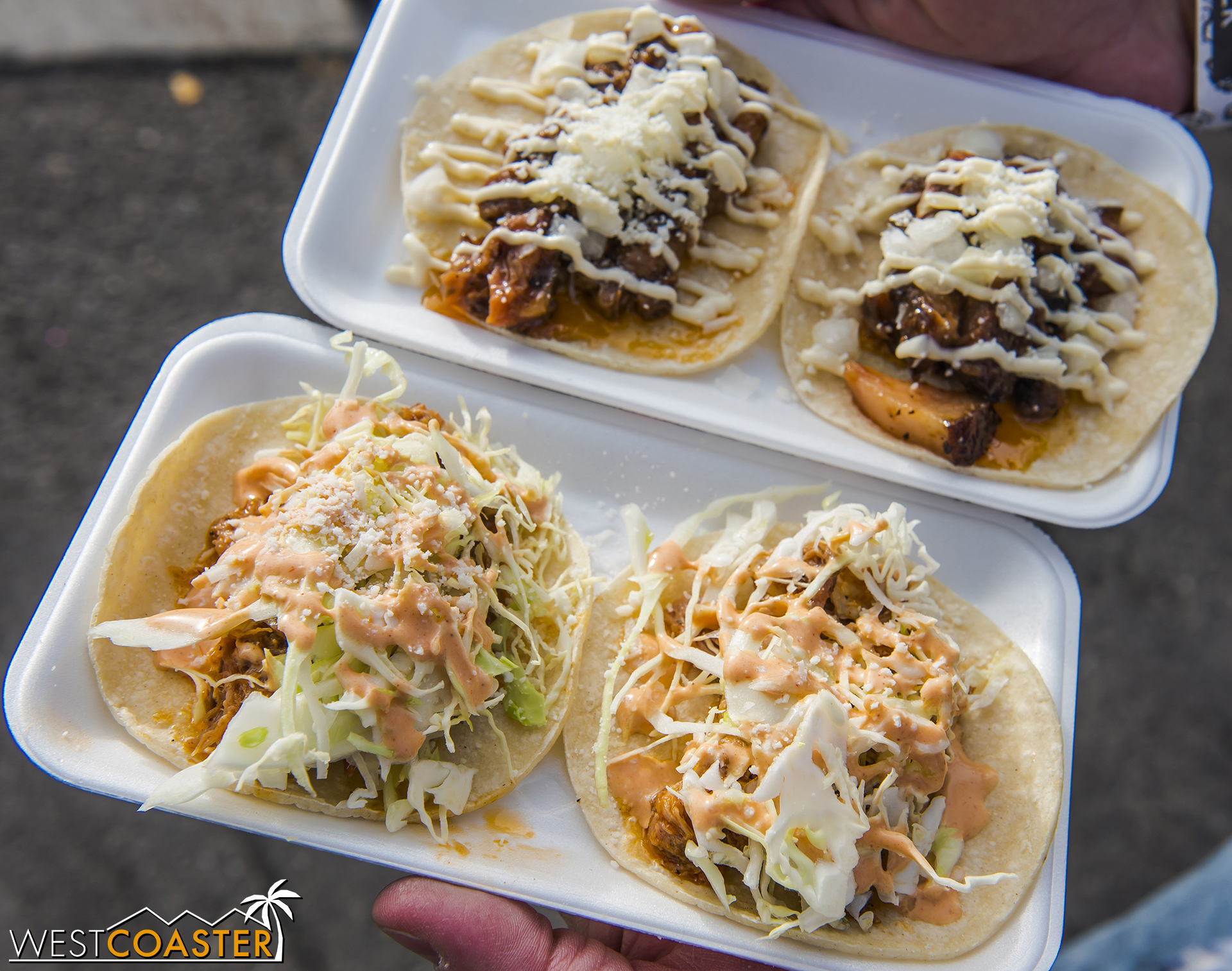  These pork belly and pulled pork tacos from the Chubbie Monkey food truck were pretty memorable.&nbsp; So delicious! 