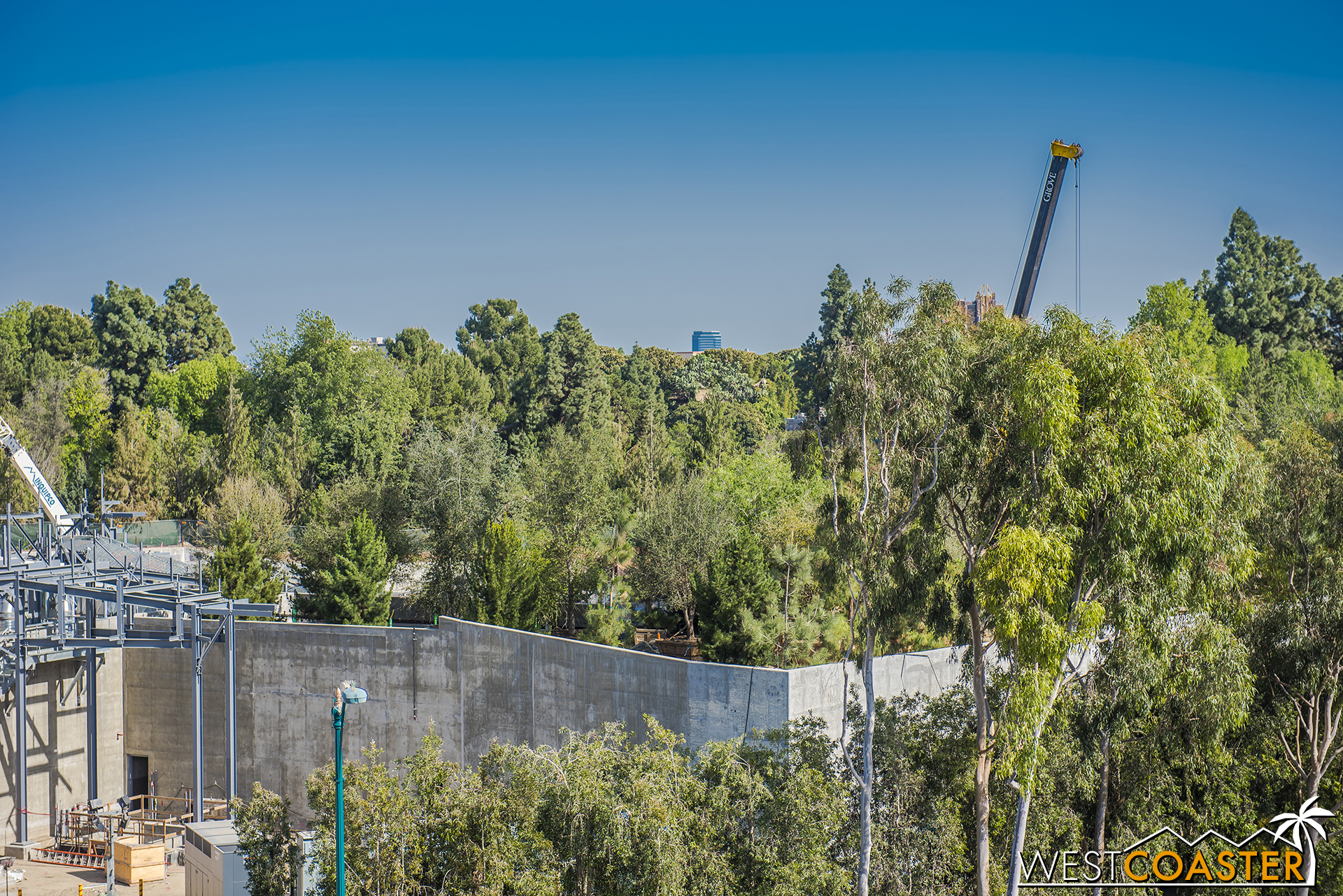  A bunch of trees were placed along the perimeter berm. 