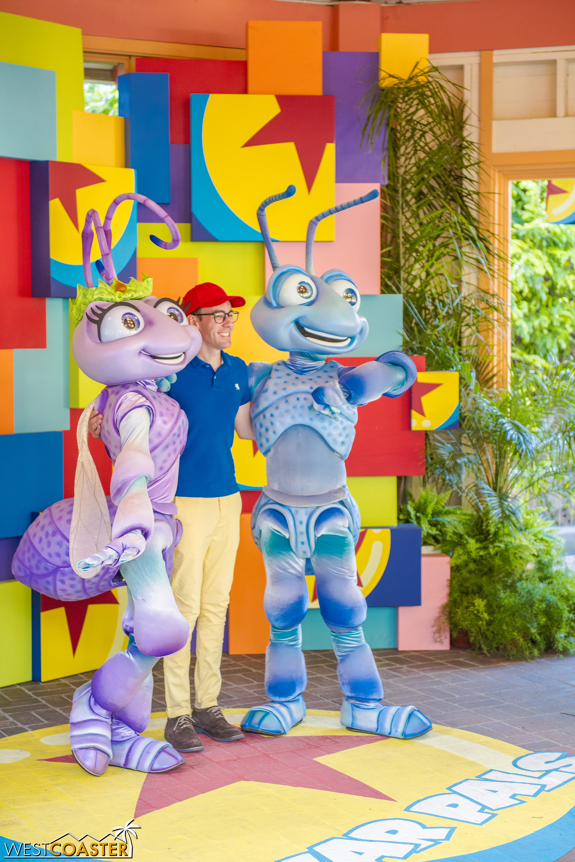  Guests can take their picture with different Pixar characters depending on the day and time. 