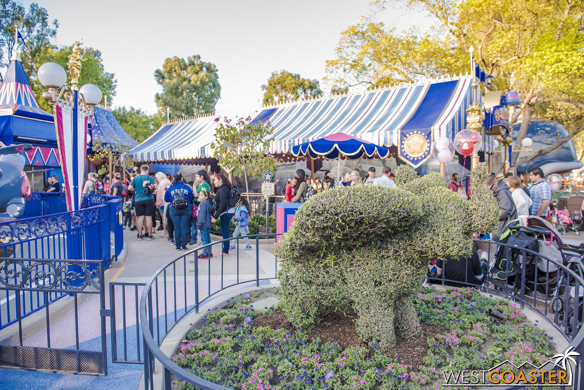  The familiar Dumbo hedge is still there. 