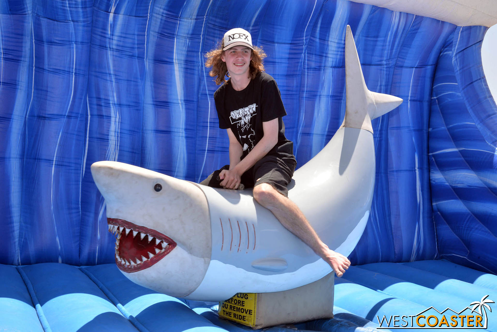 Don’t like board games? Go ride a shark.