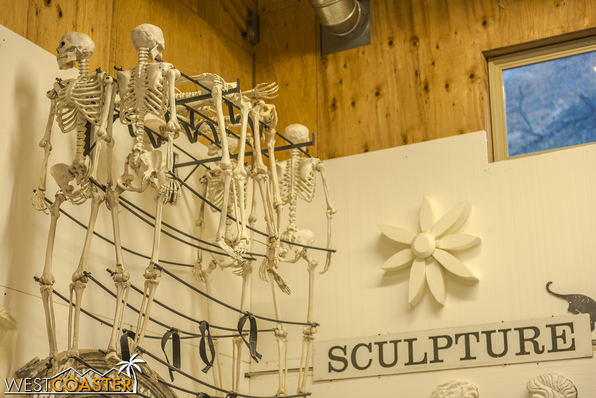  Spooky skeletons, possibly to be use in the Pageant, possibly not. 