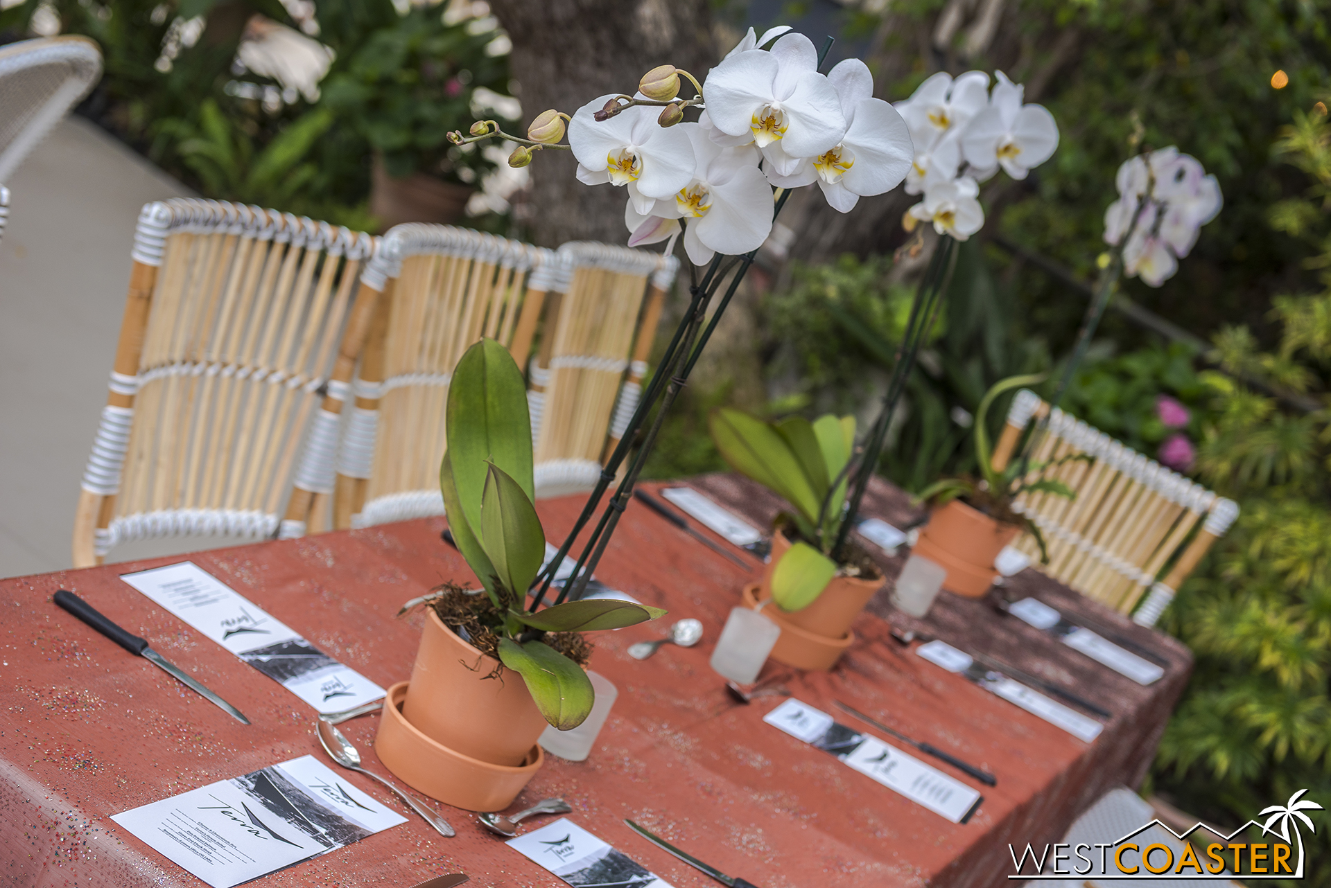  Setting up for our reception later. 