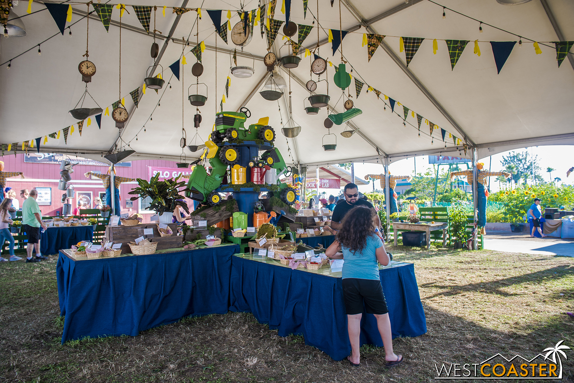  Moving over to Centennial Farms, the fruit and vegetable competitions can be found on display. 