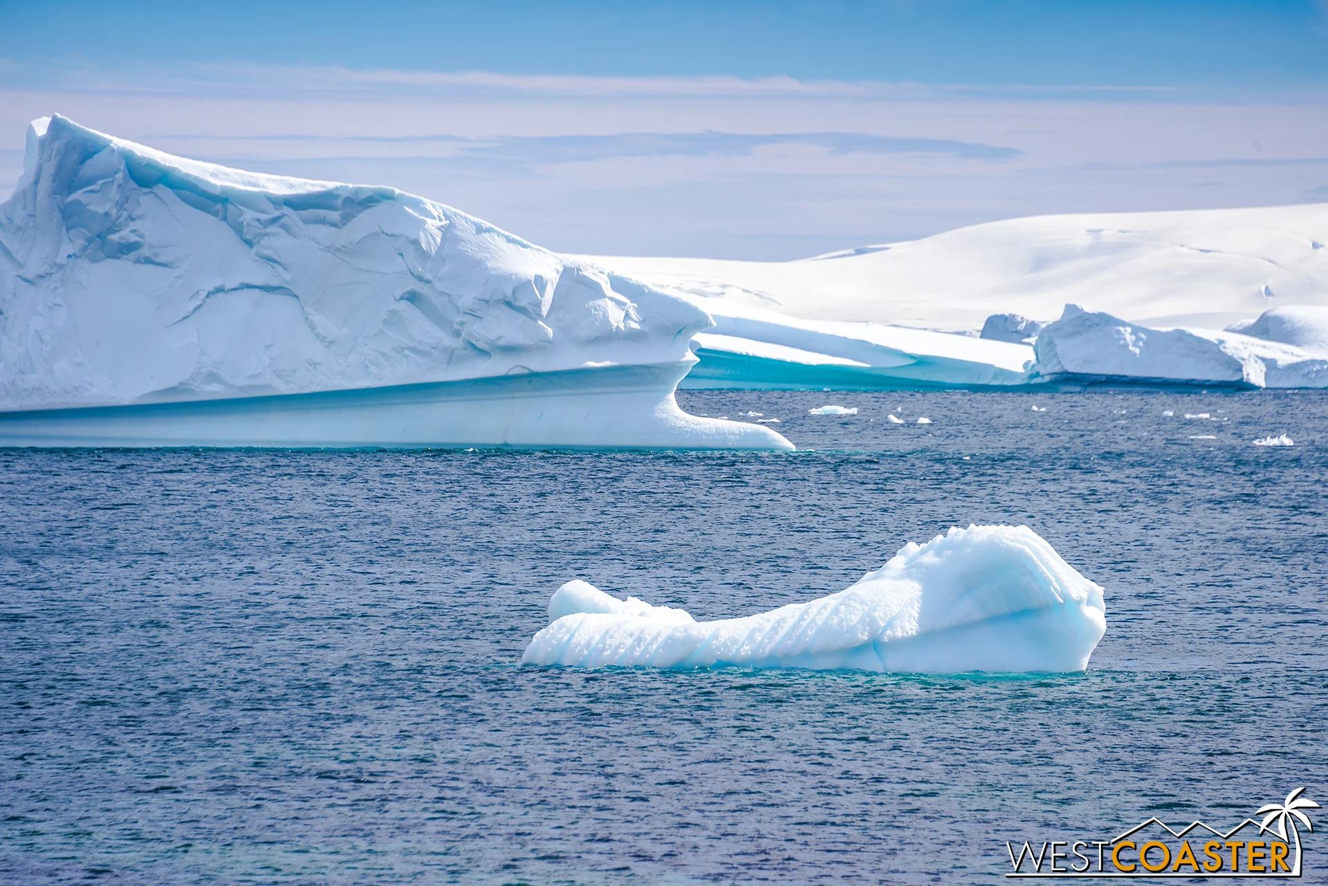 This one, on the other hand, is veritably whale shaped!