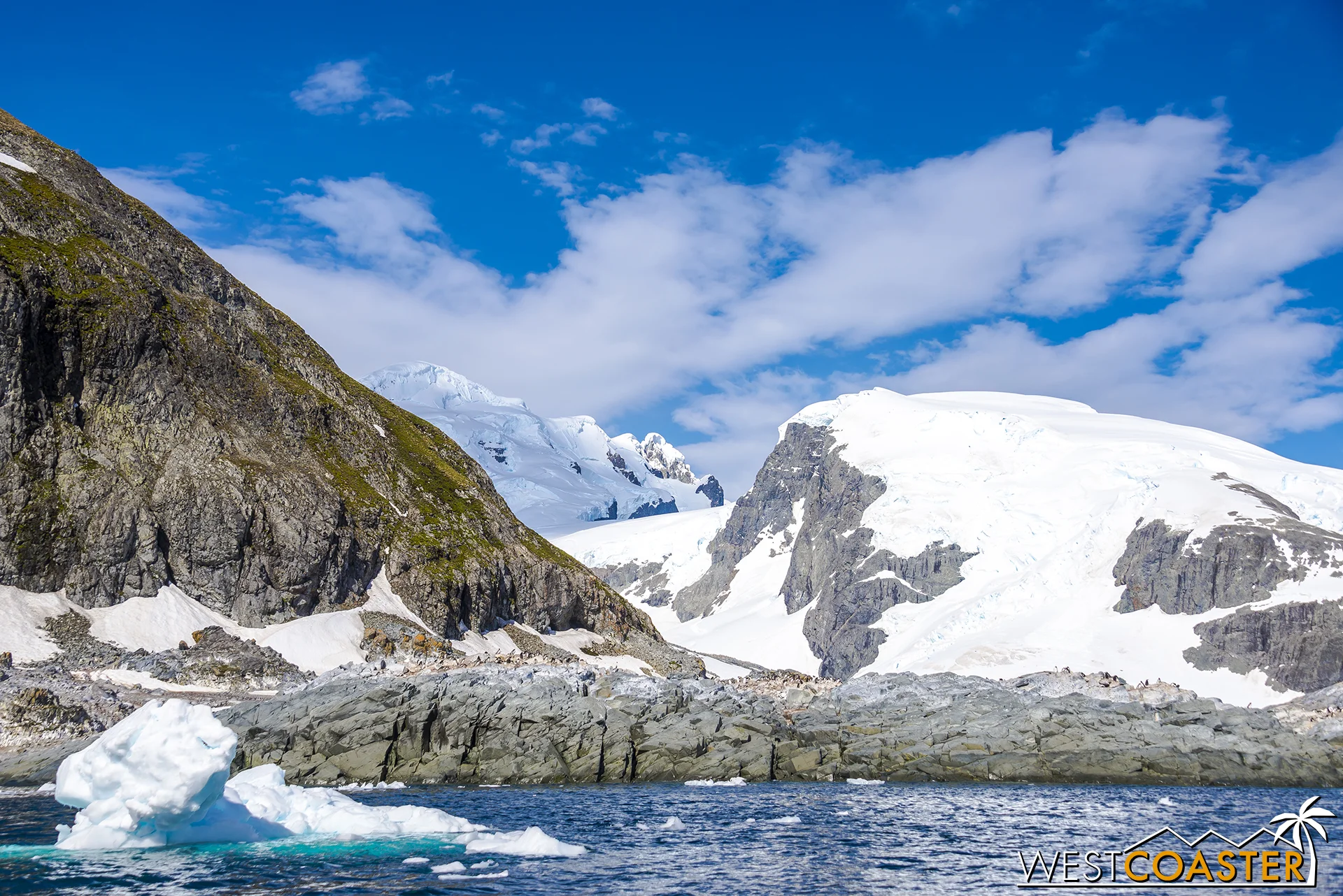 Our landing for the morning: Cuverville Island.