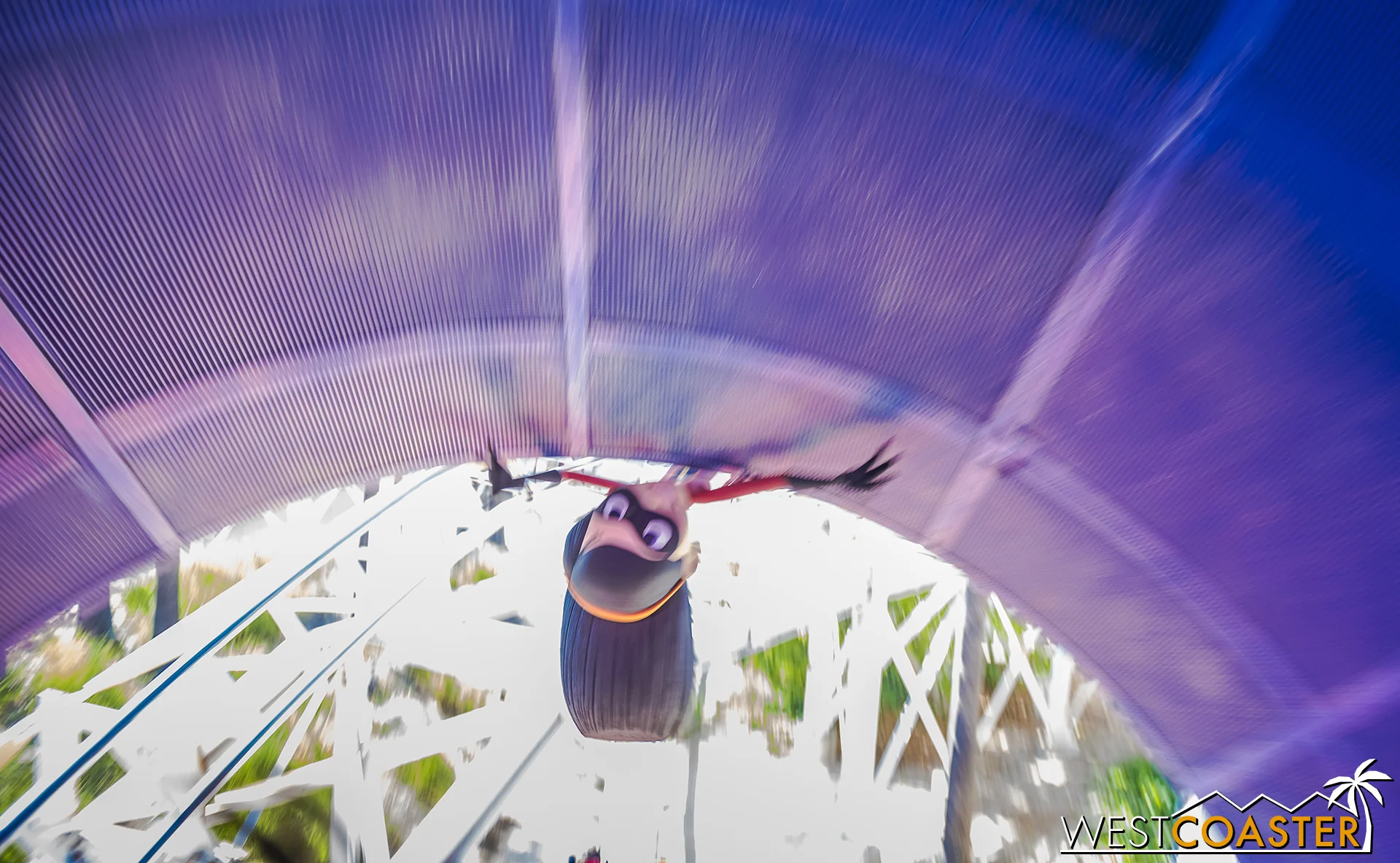 DLR-18_0731-D-PixarPier-0025.jpg
