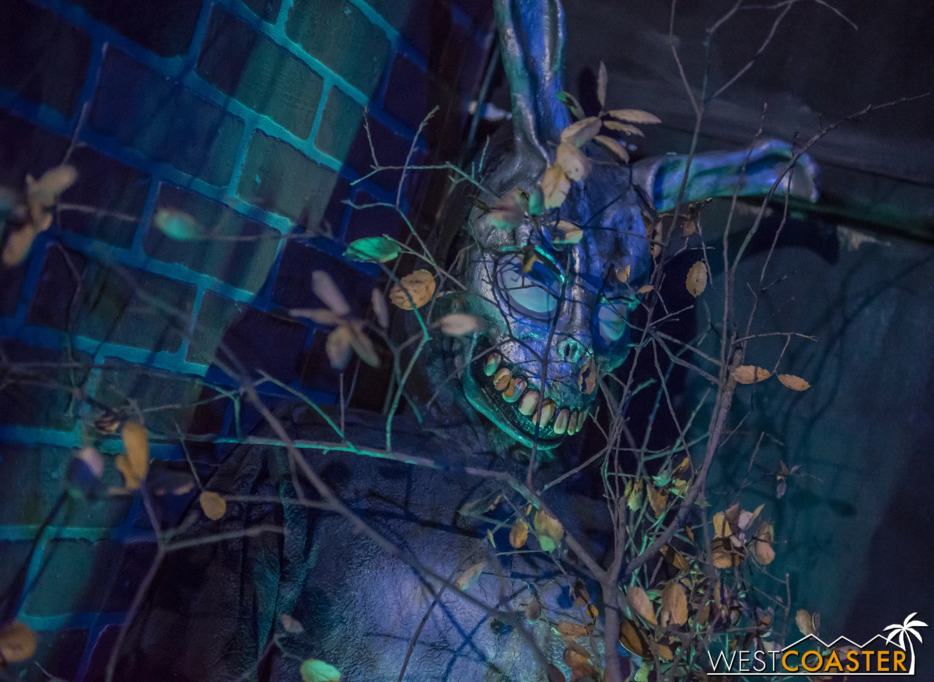 MSS-18_0807-H-DonnieDarko-0000b.jpg