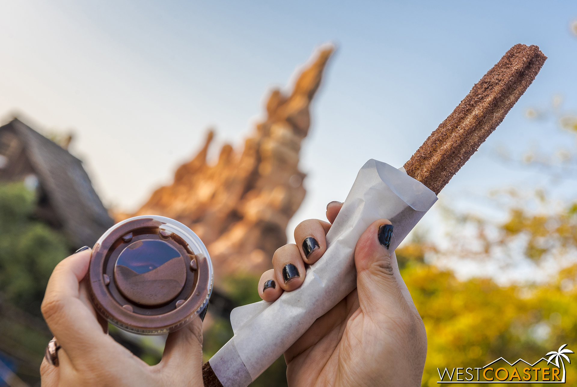  This  Coco  churro was actually pretty darn goo. 