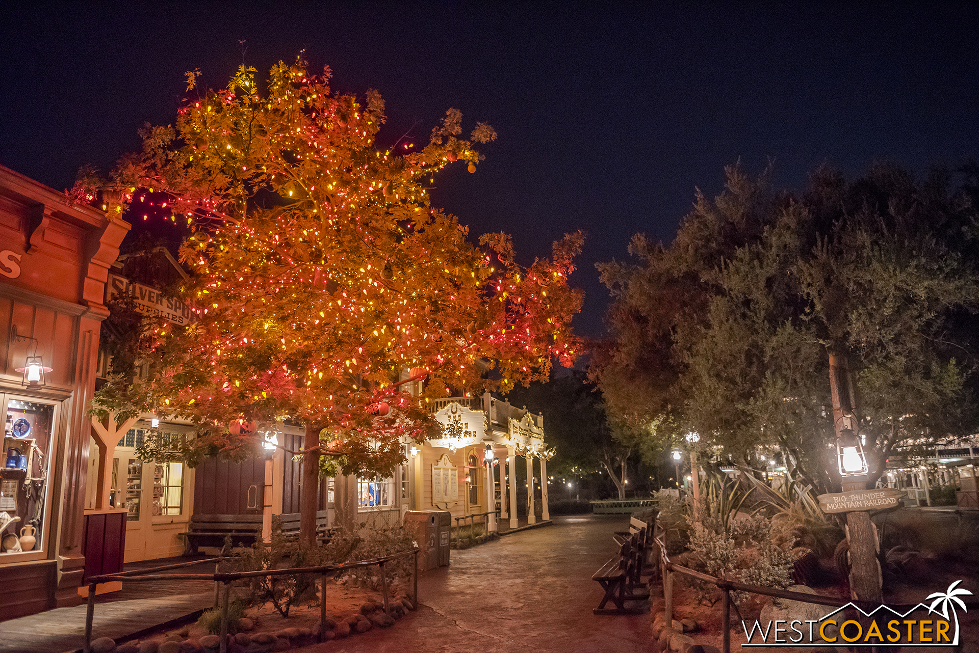  And the Halloween Tree is lit up at night too. 