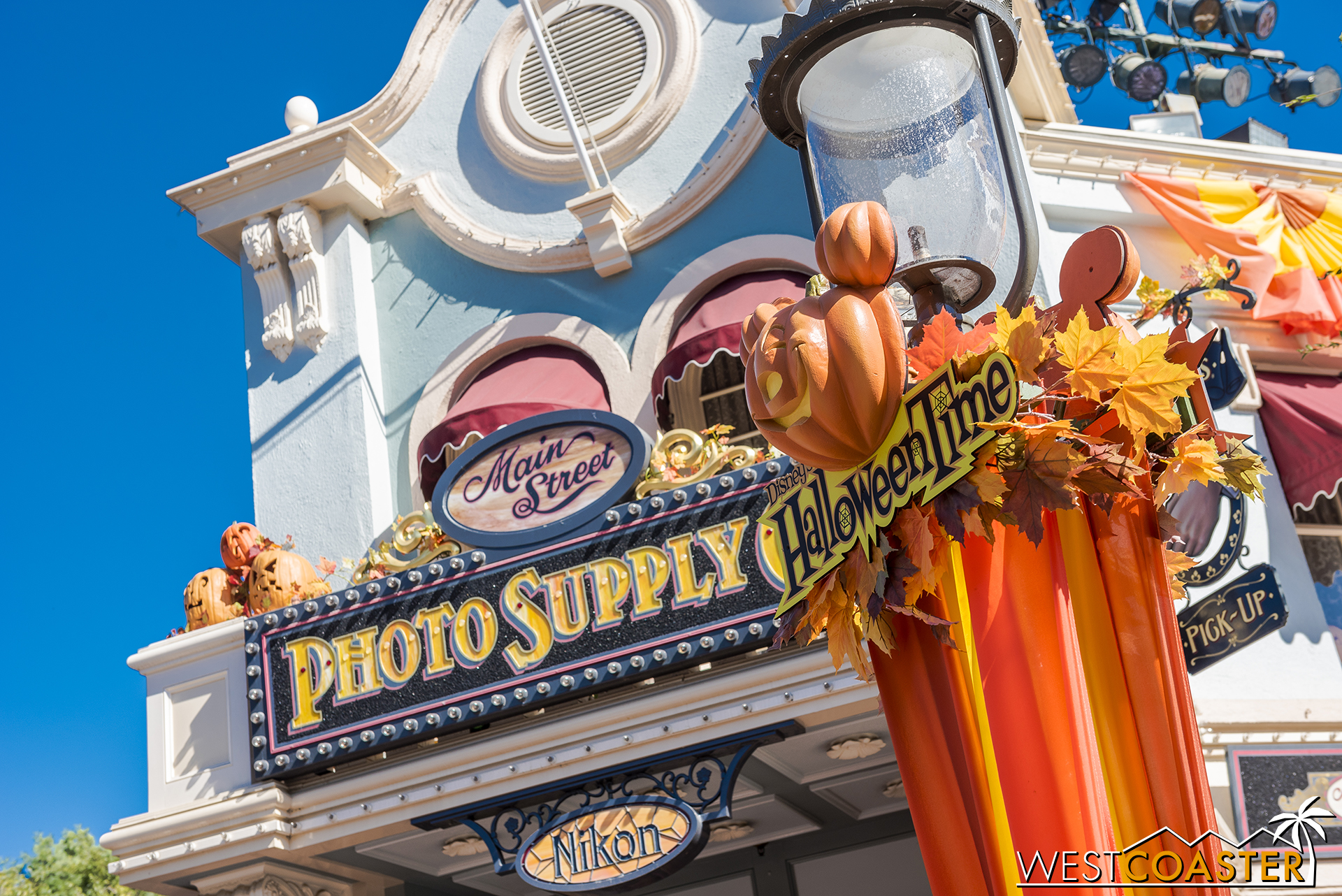  They adorn plenty of storefronts, perched up high. 