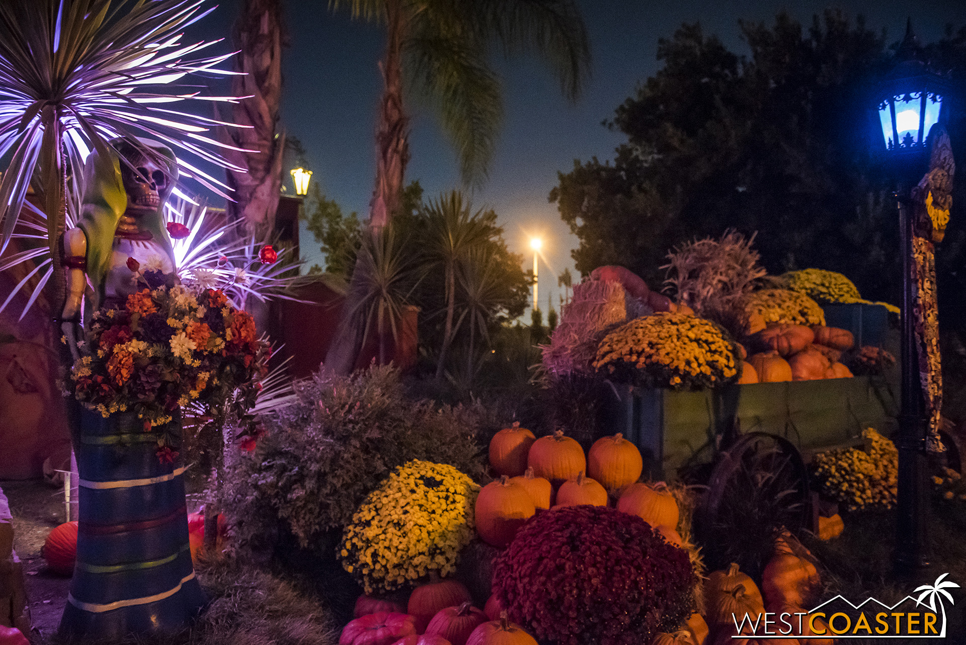  Pumpkins and sugar skulls provide a touch of theming in Fiesta Village. 