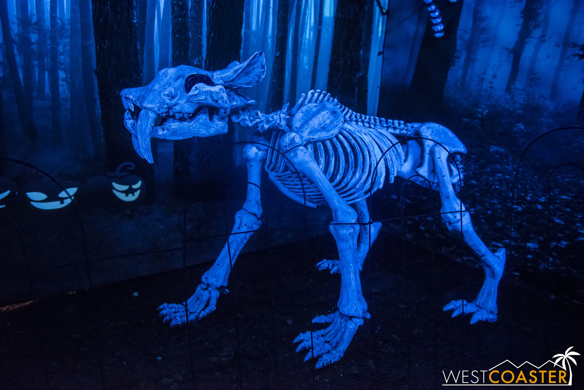 A sabertooth skeletal cat is one of many creatures in Deadwood Forest.