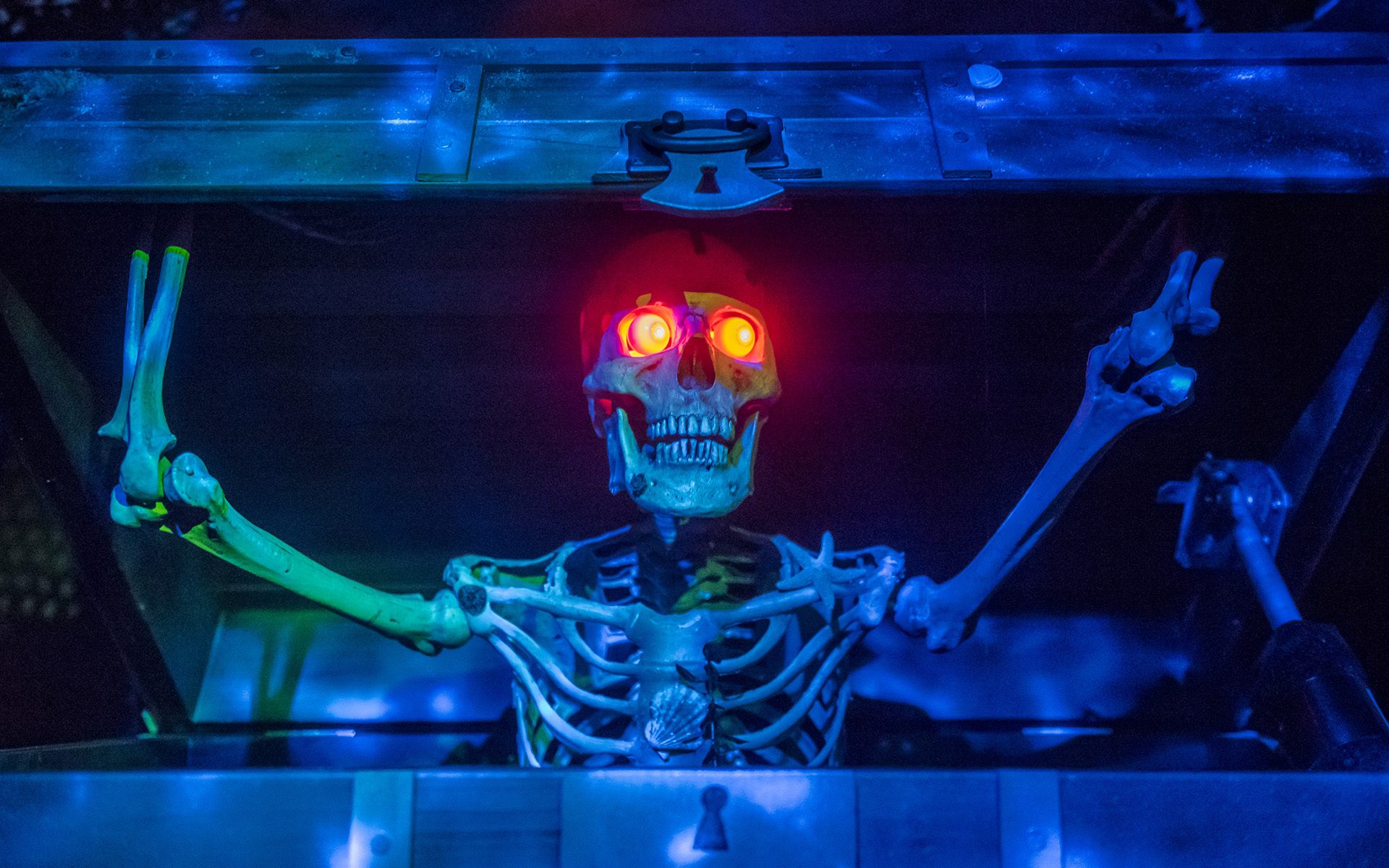 haunted pirates trappie mosh 🏴‍☠️ Well… that didn't take long