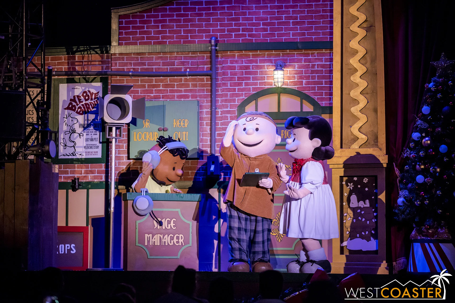 Charlie Brown looks for his dog, Snoopy, but he can’t find him!
