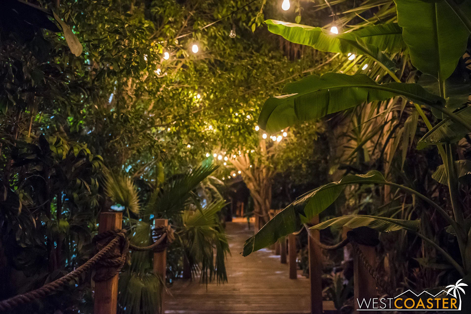The setting can sometimes become mysterious and rugged at Lost Spirits.