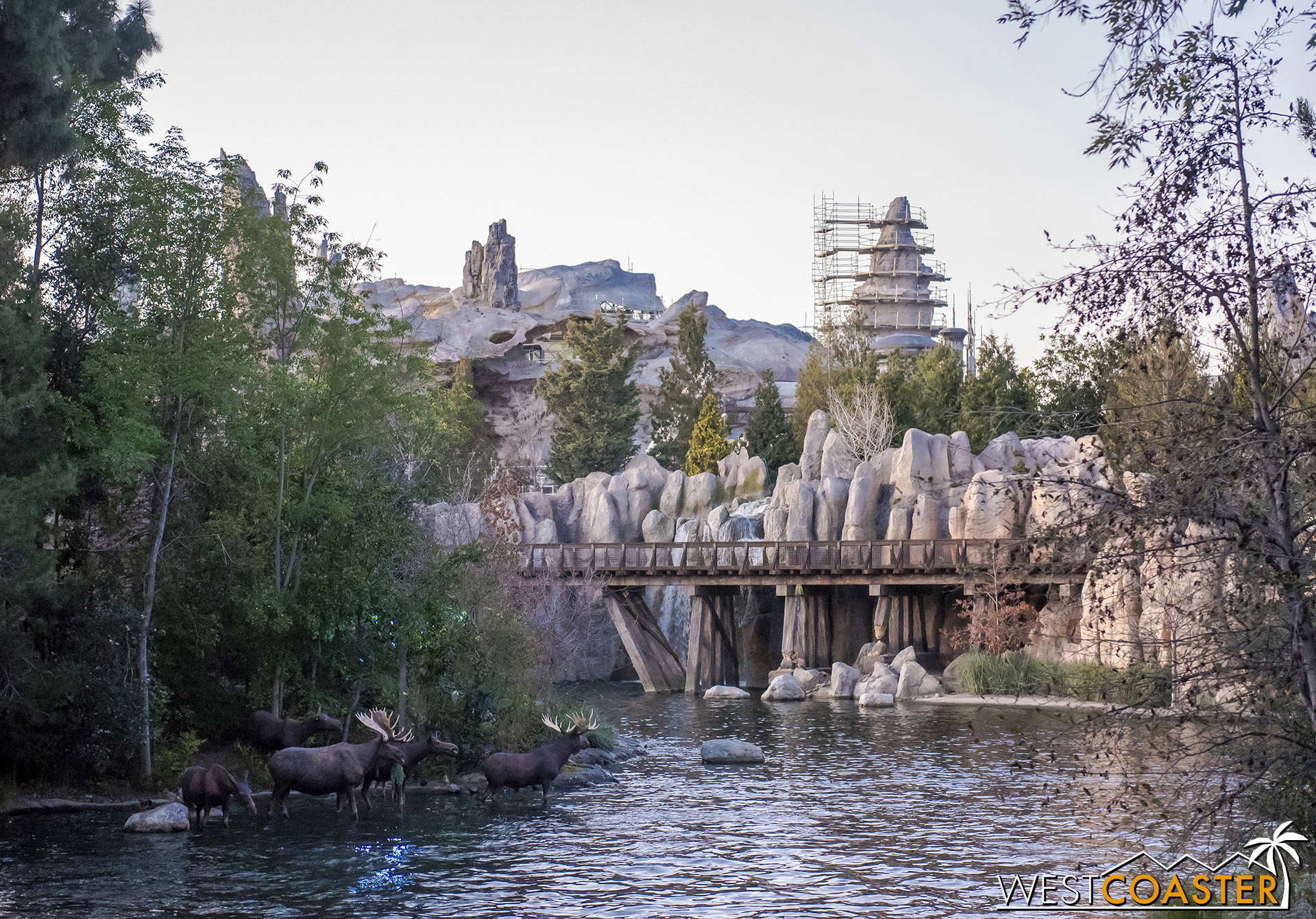  Disney is rethinking and reshaping the theme park experience with “Star Wars” Land.  This won’t be simply a place where guests come to ride rides and see pretty scenery and have a story loosely communicated to them.  This will be a place where guest