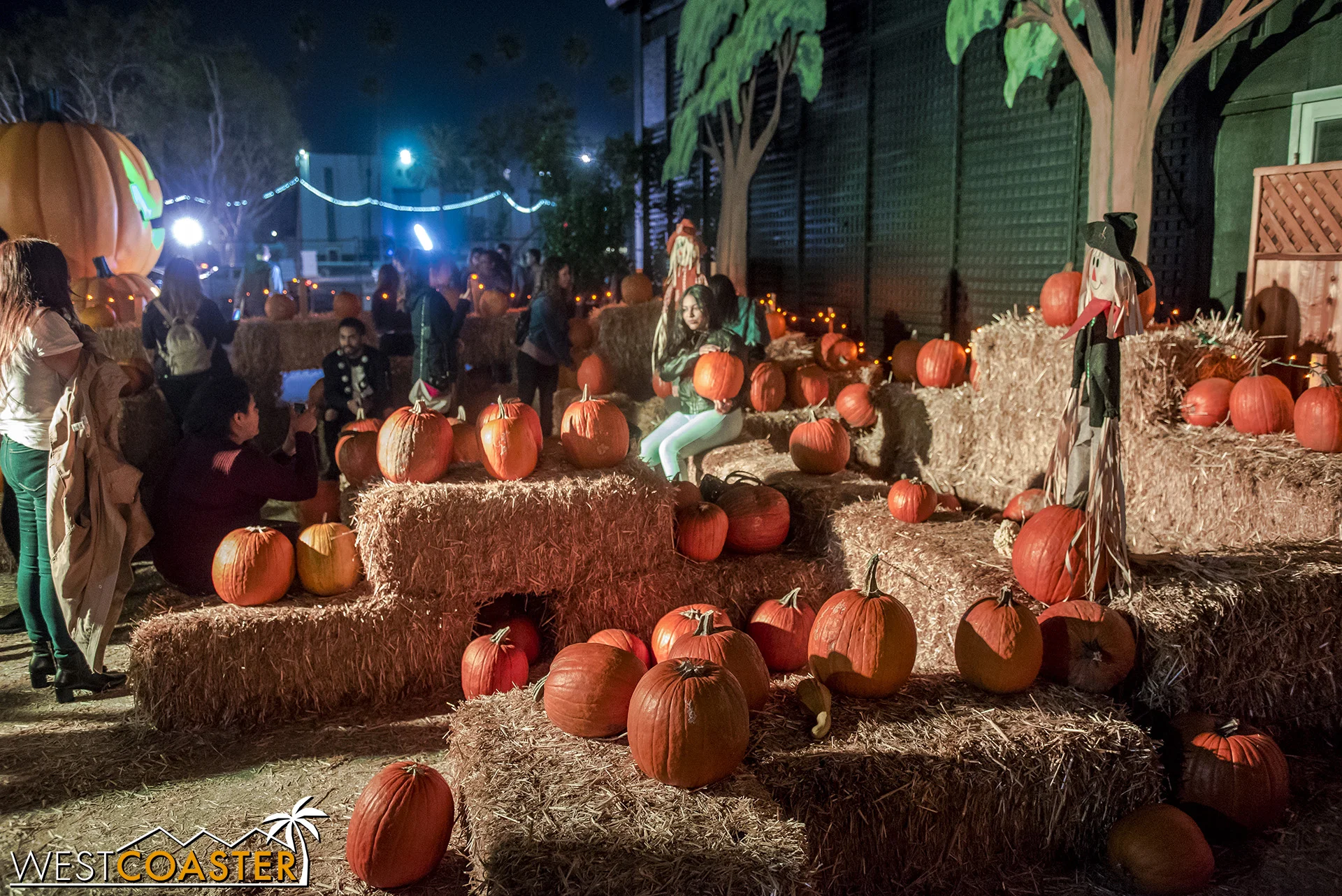 There’s a small pumpkin patch of sorts that seems more of a sitting area than a place to explore. This was also one of the few areas with actual pumpkins.