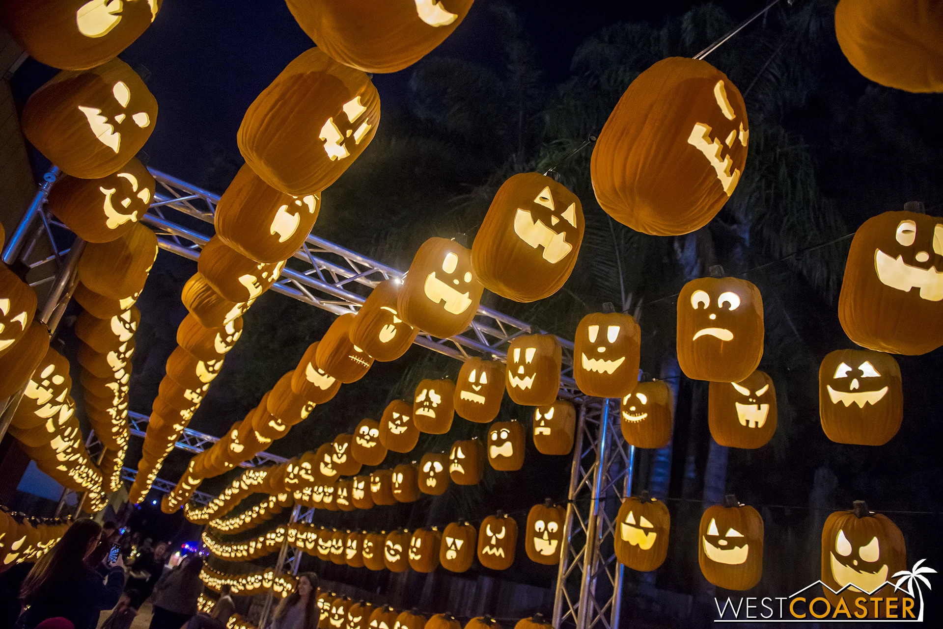 A pumpkin tunnel kicks off the Pumpkin Walk main attraction of Pumpkin Nights.