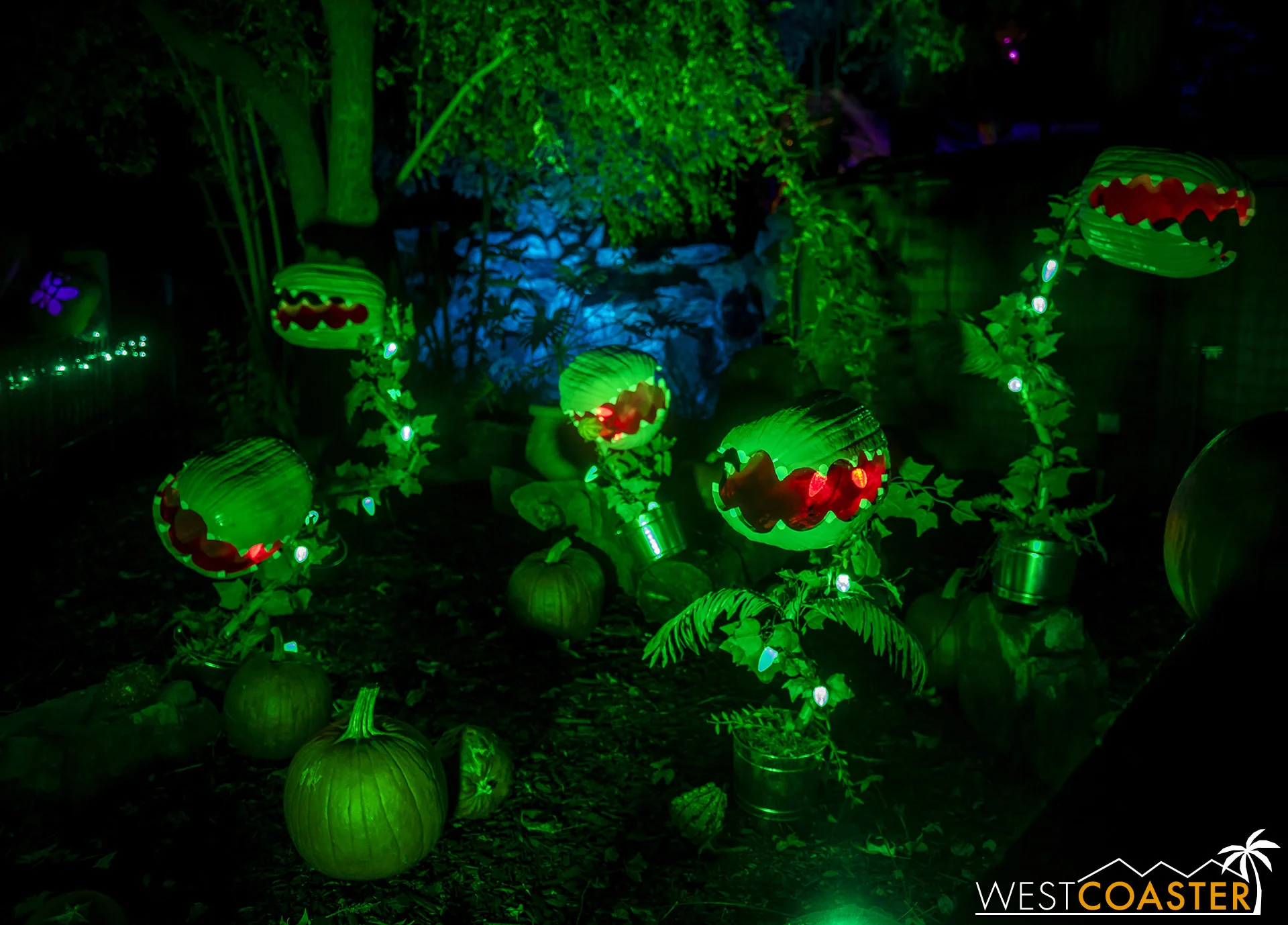 These Pumpkin Audreys were one of the best compositions of the attraction.