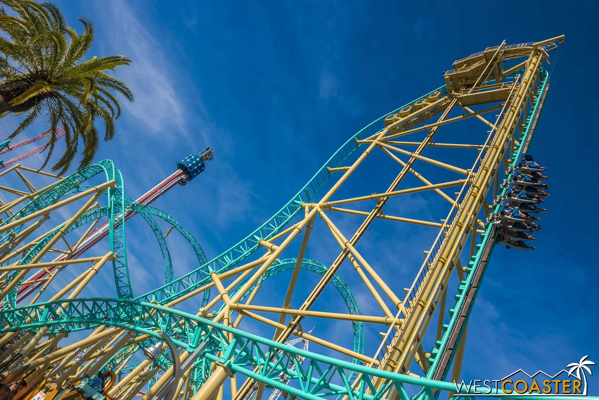HangTime is close to turning 1 years old, and it’s still incredibly photogenic!