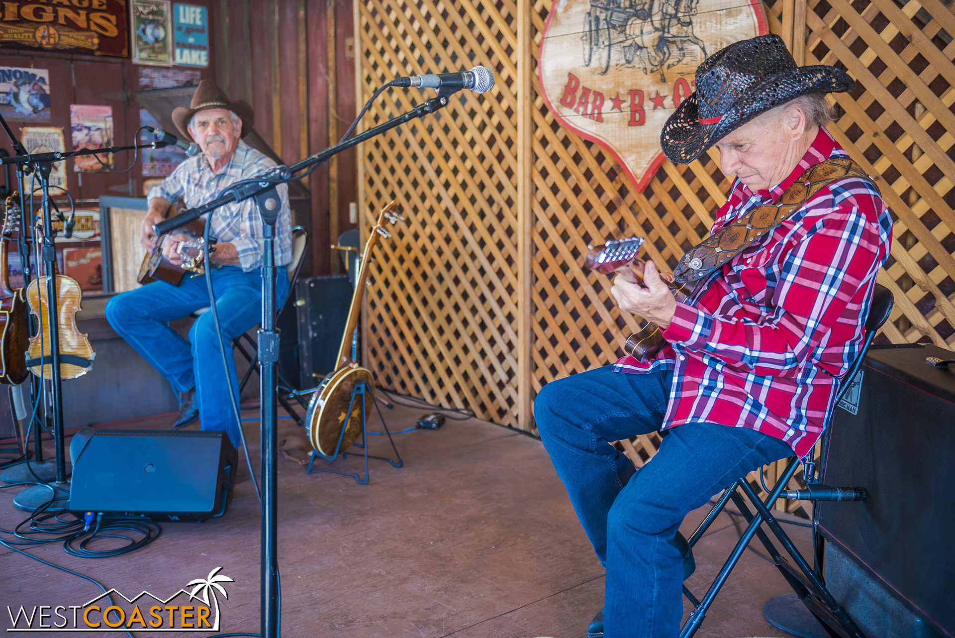  They jam several times a day! 