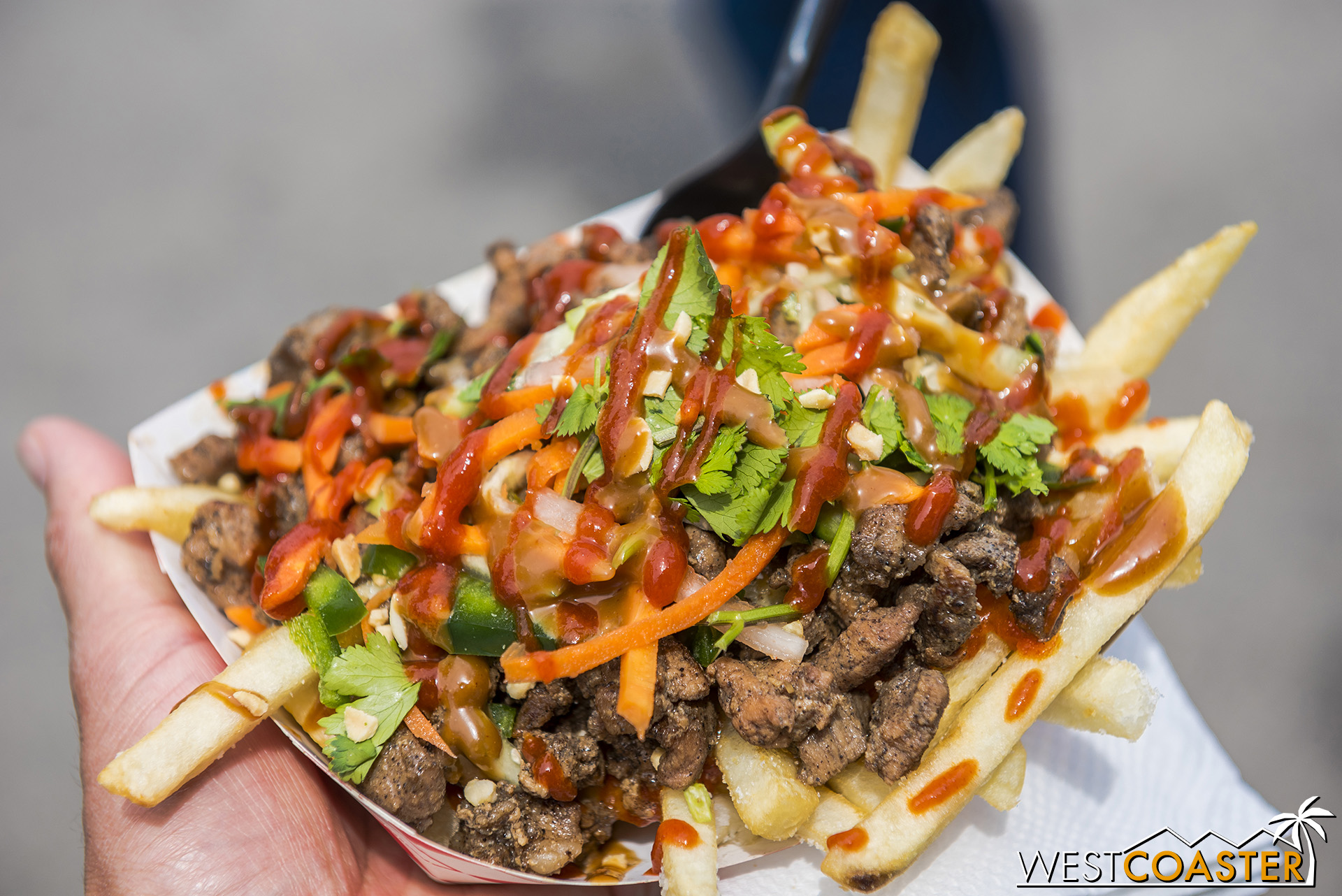  Loaded Vietnamese Fries from Cali Banh Mi, with BBQ pork, picked carrots and daikon, jalapeño, and hoisin and Sriracha sauce. Delicious!! 