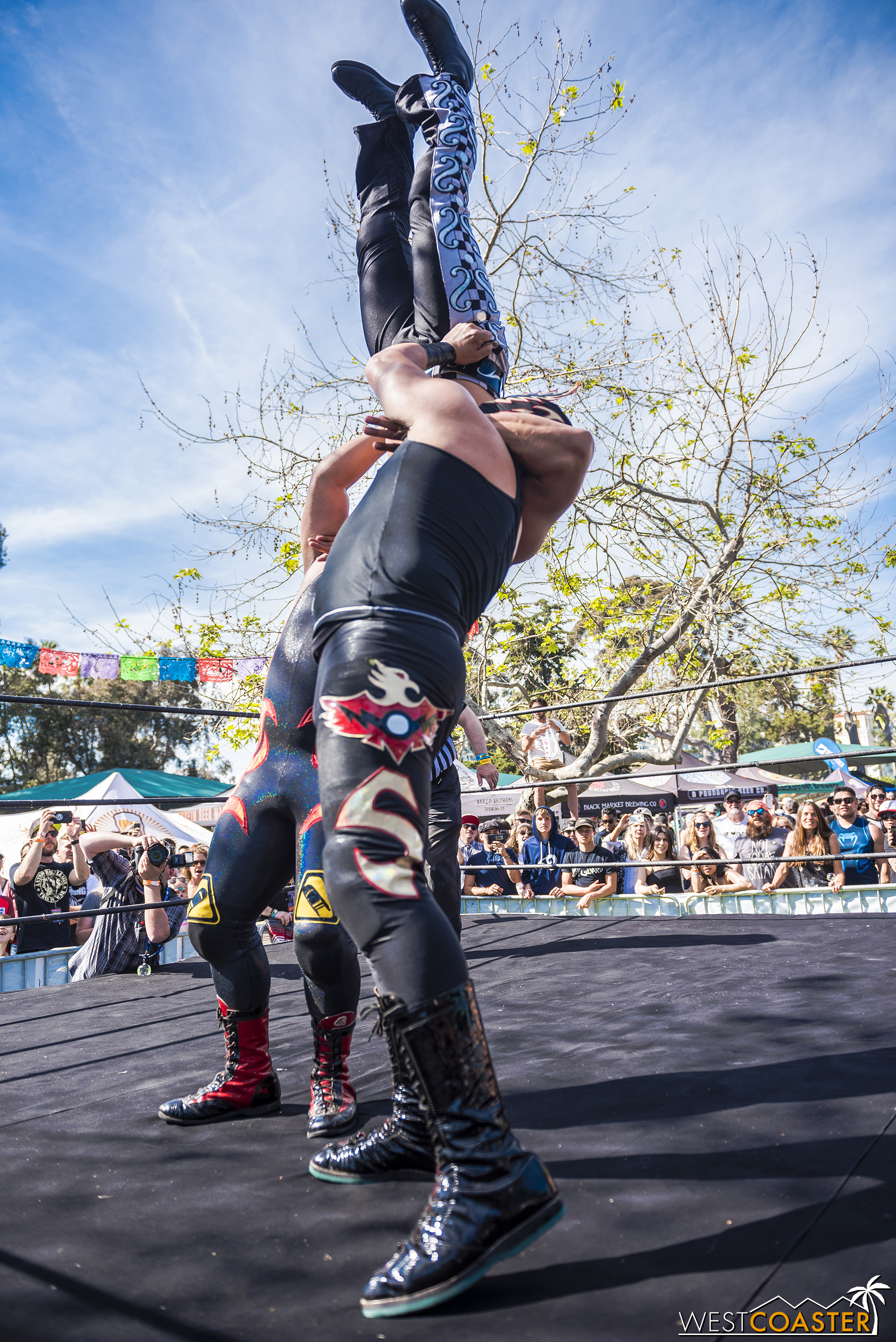  Check out this tag team vertical suplex. 