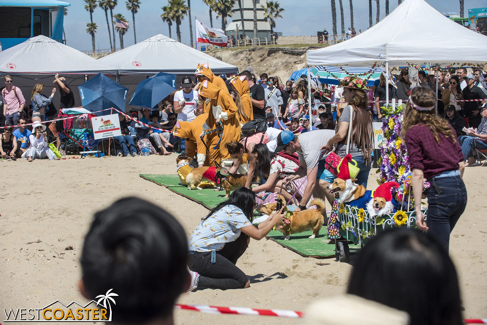 Finalists line up for one of the costume contest judging.
