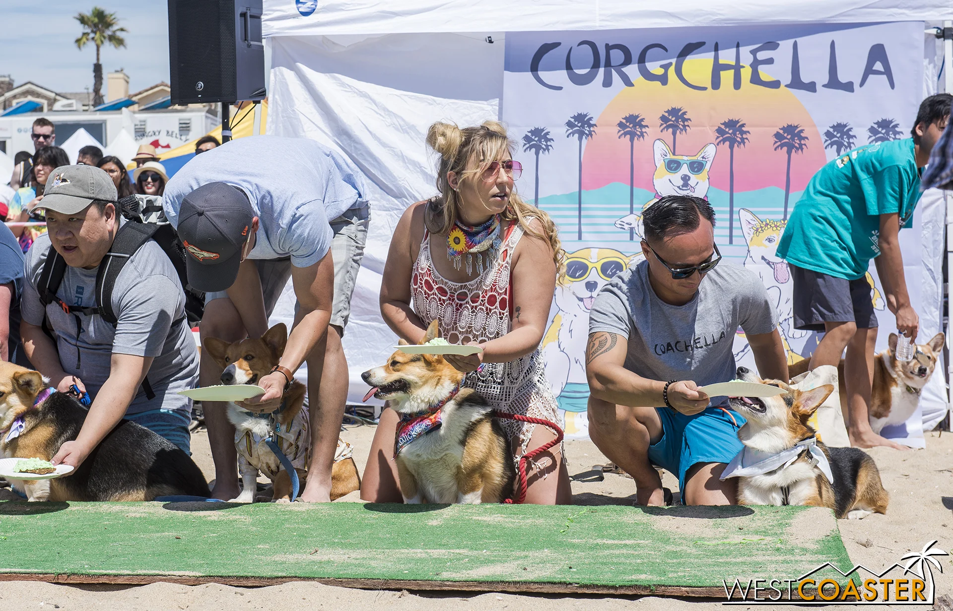 These dogs were very good boys (and girls) waiting patiently for their toast.
