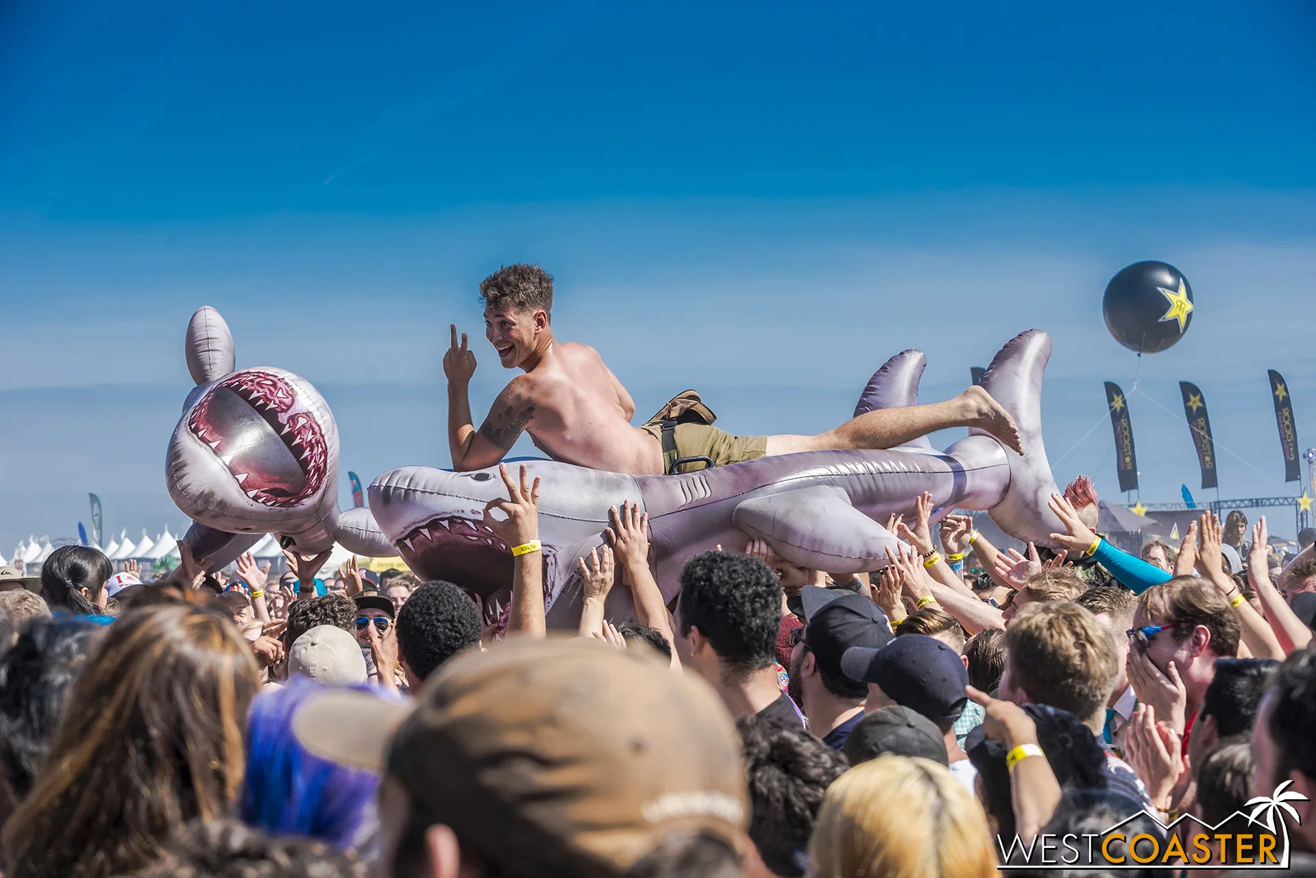 Literally crowd surfing a shark.