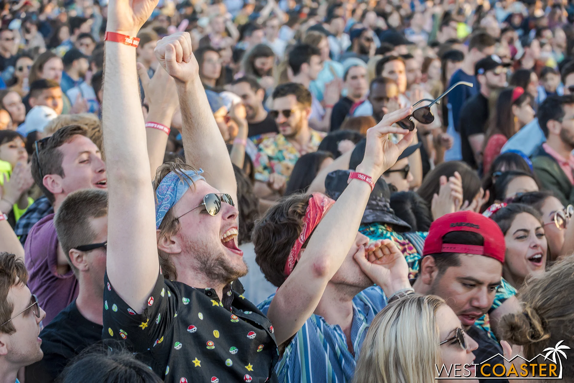 The crowd is exhilarated at MGMT.