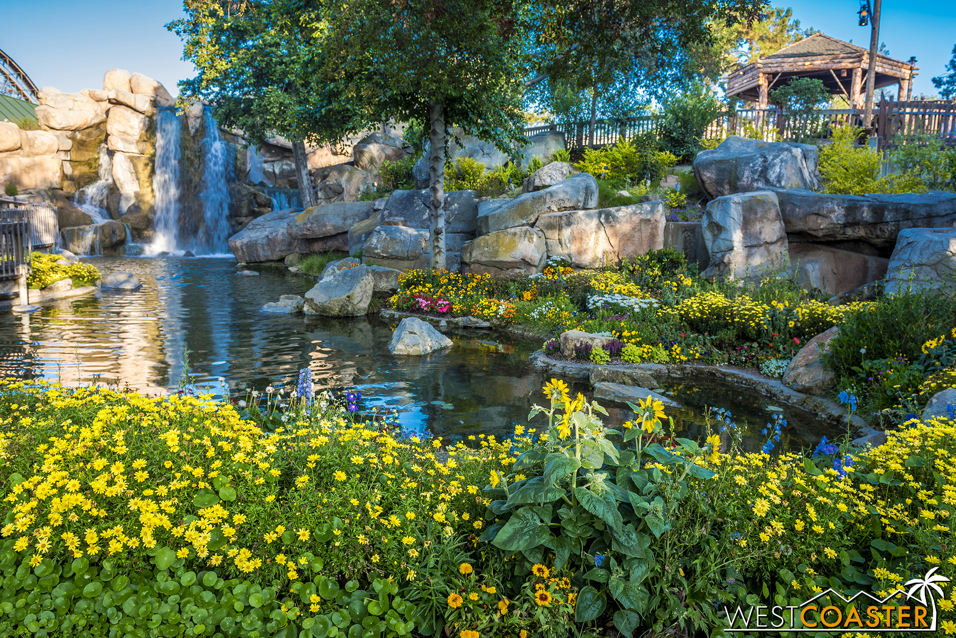  After making it through, guests can come out to a lovely floral scene adjacent to Mystery Lodge. 