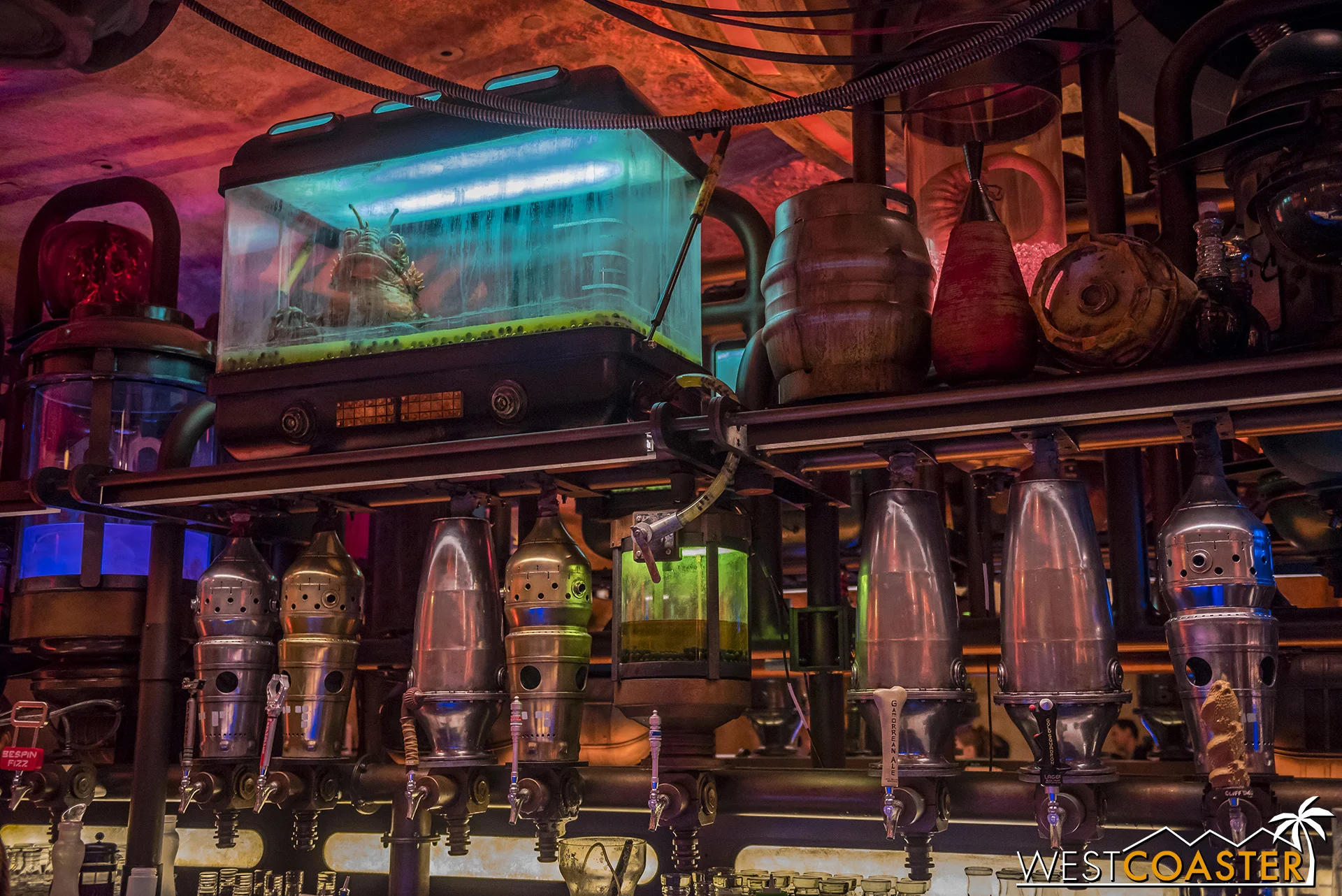 Would like like essence of space toad in your beverage?