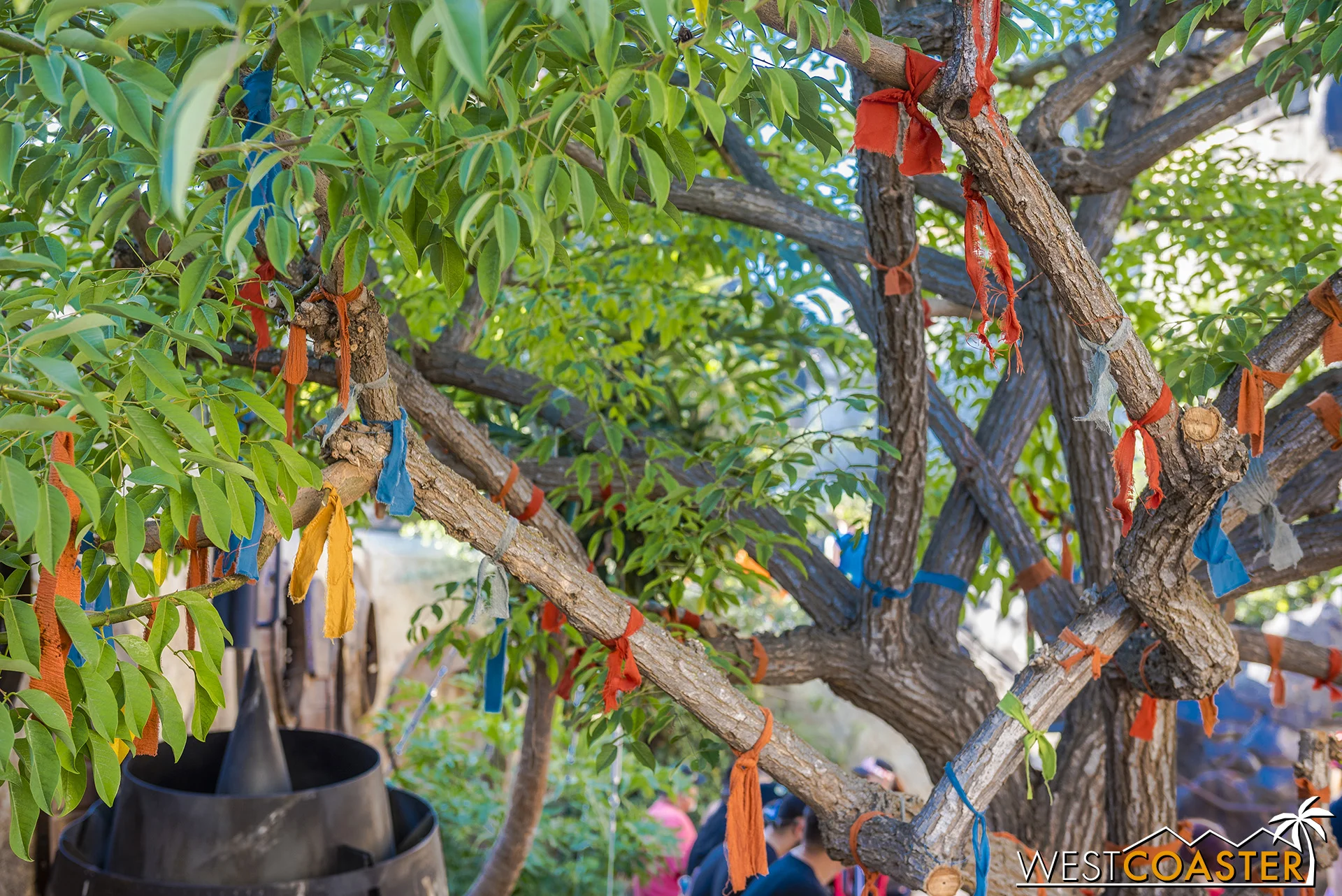 The Wishing Tree outside Savi’s.