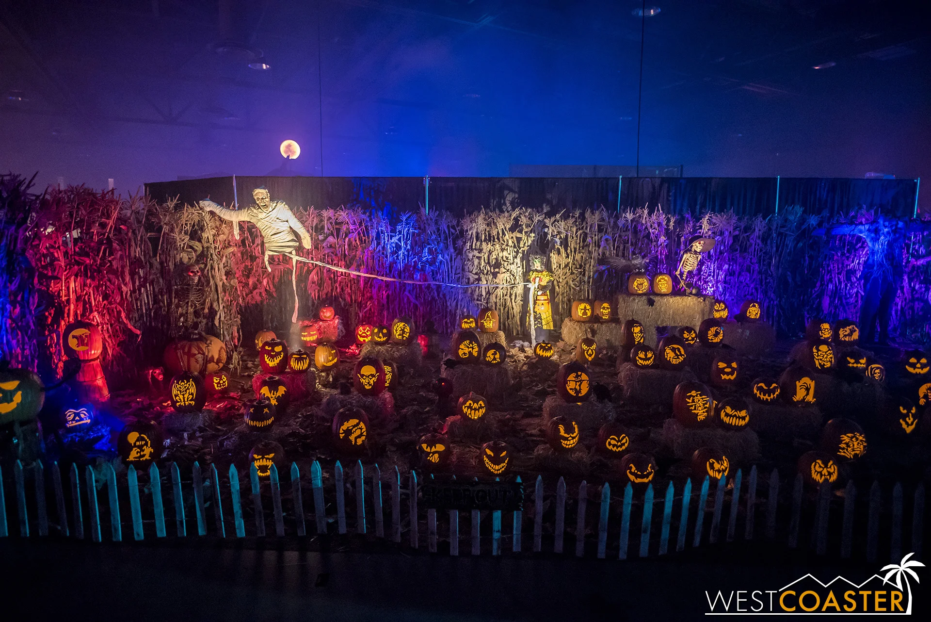 MSS-19_0809-06-WickedPumpkinHollow-0000a.jpg