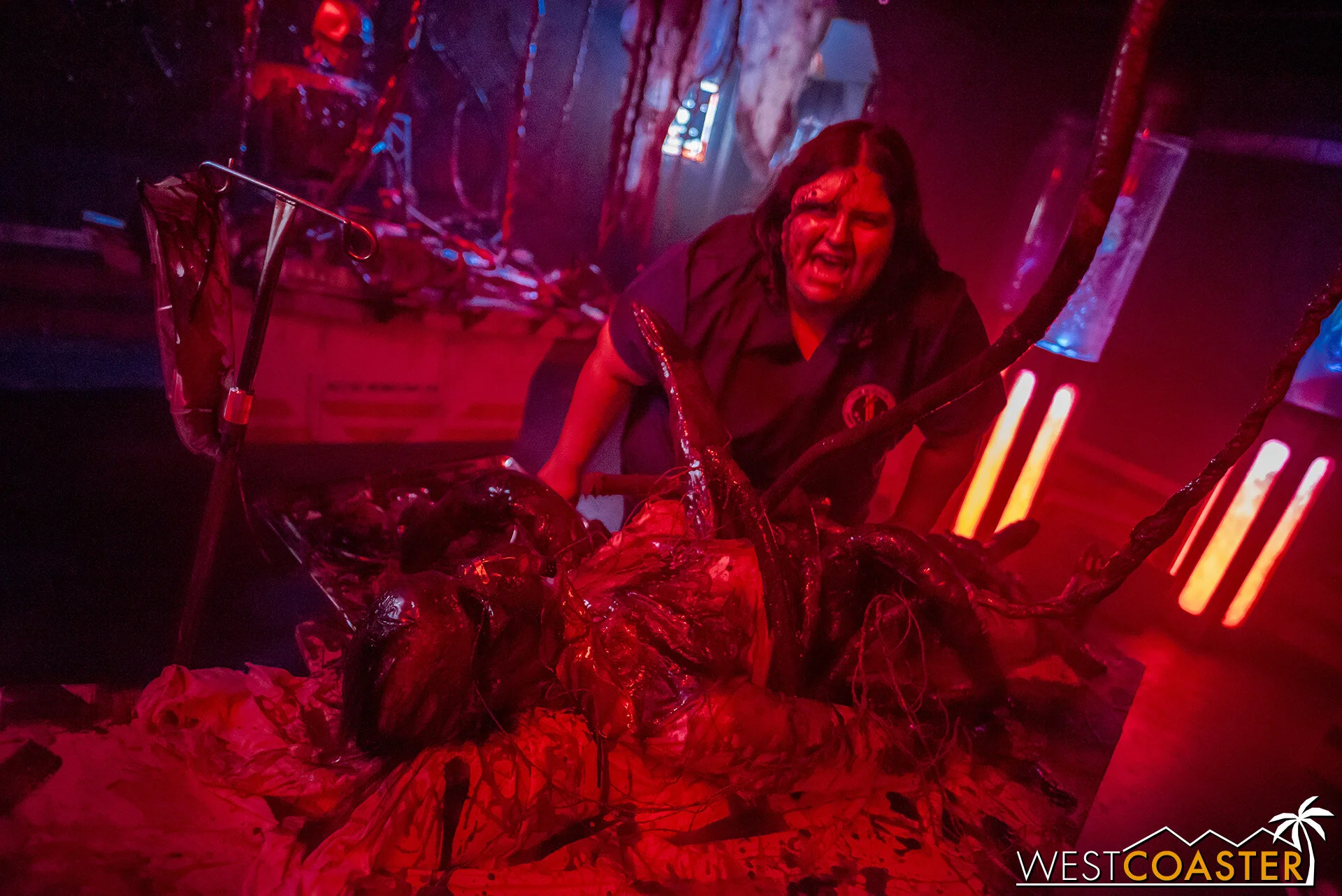 Dark N Titties has proven to be a fantastic maze full of great energy and focused scareactors.