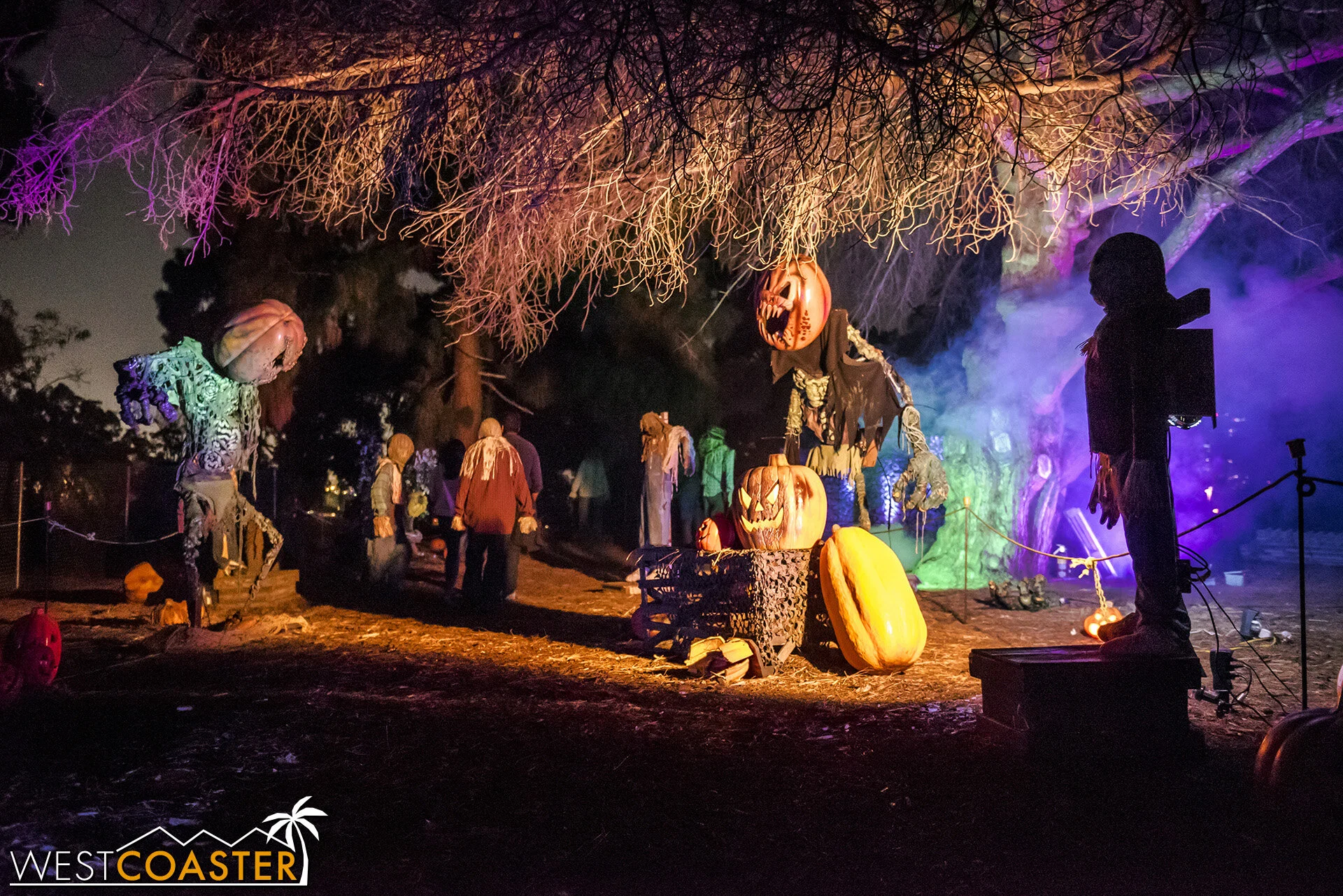 A jack-o-lantern hollow is one of several areas not patterned after IP’s.