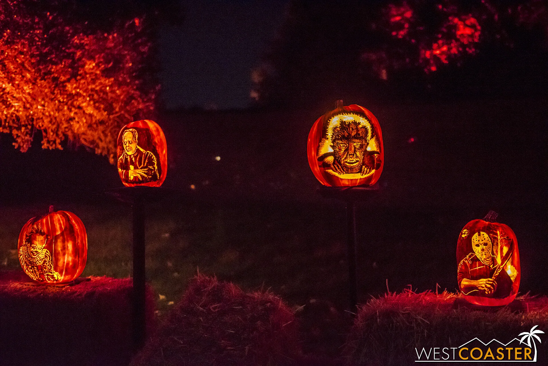 Nights of the Jack 2019 Review — Westcoaster