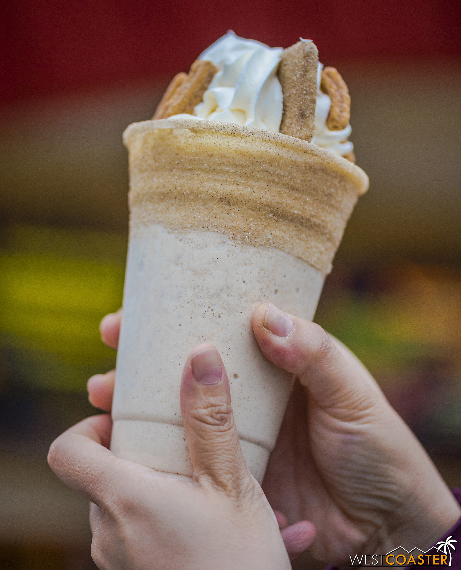  The Churro Shake from Schmoozies is legitimately delicious.  I do wish there was a little more shake and less whipped cream, though.  But this is a near universal hit.  I mean, it’s churro!  In drinkable form! 