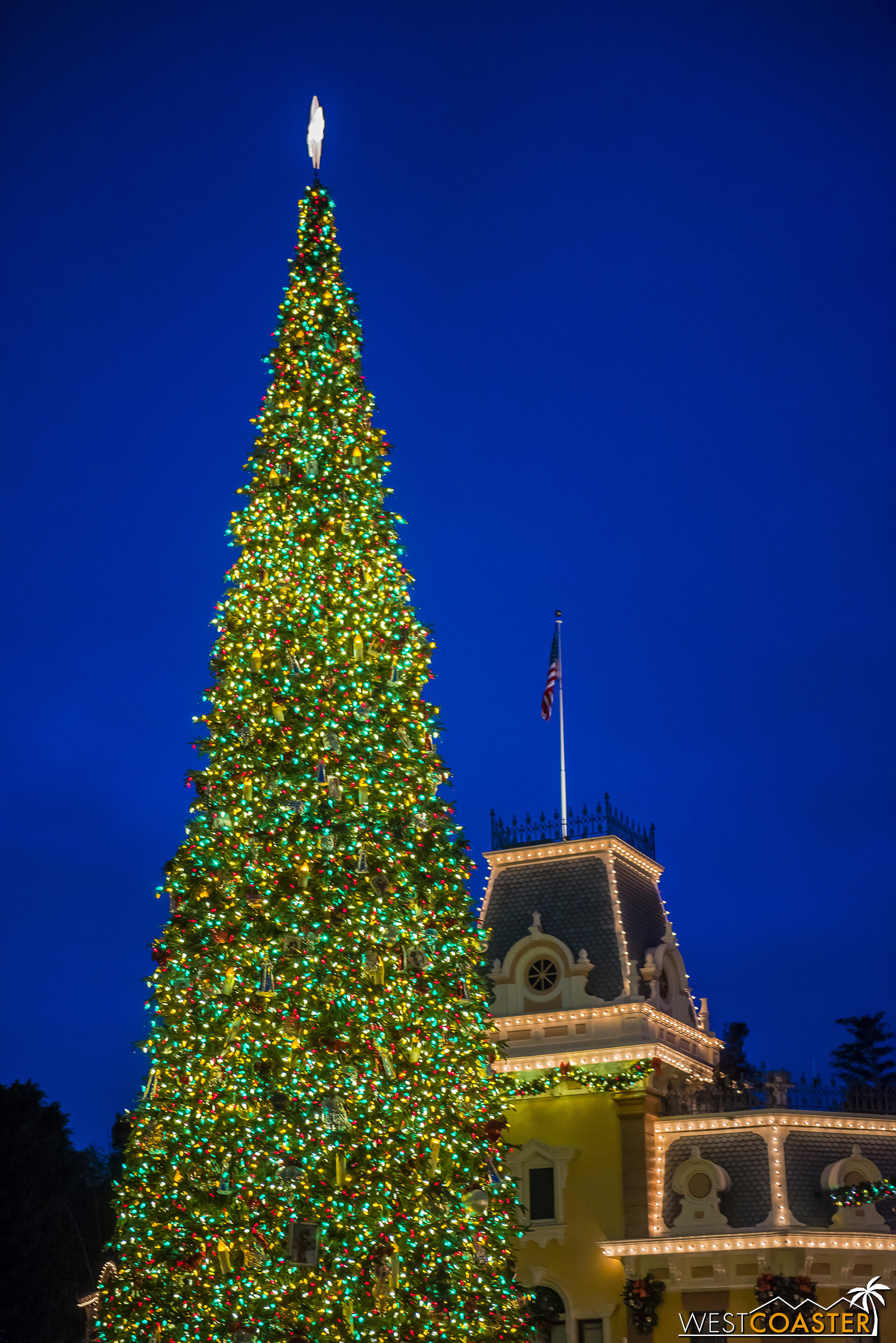  The towering Christmas tree sparkles during blue hour on Main Street! 