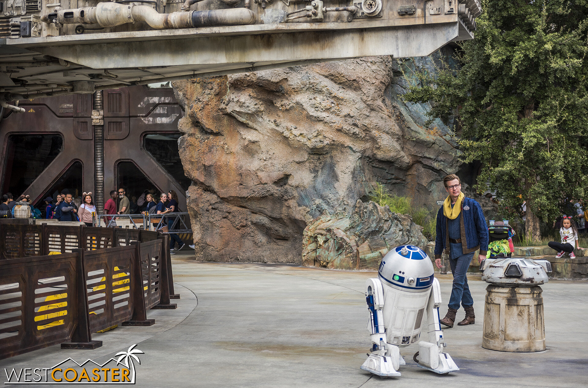  R2-D2 rolls around! 